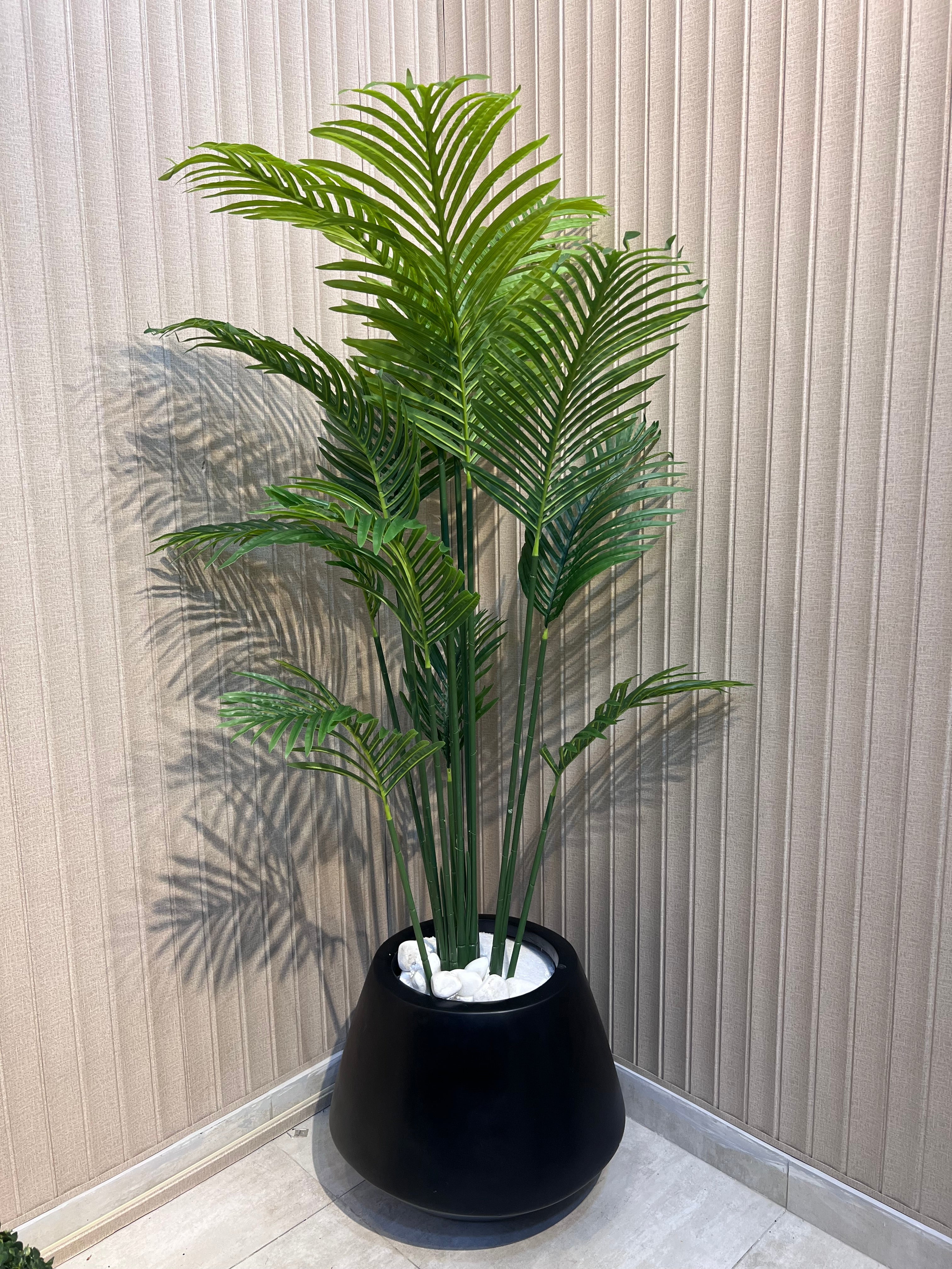 New Areca with trio Planter