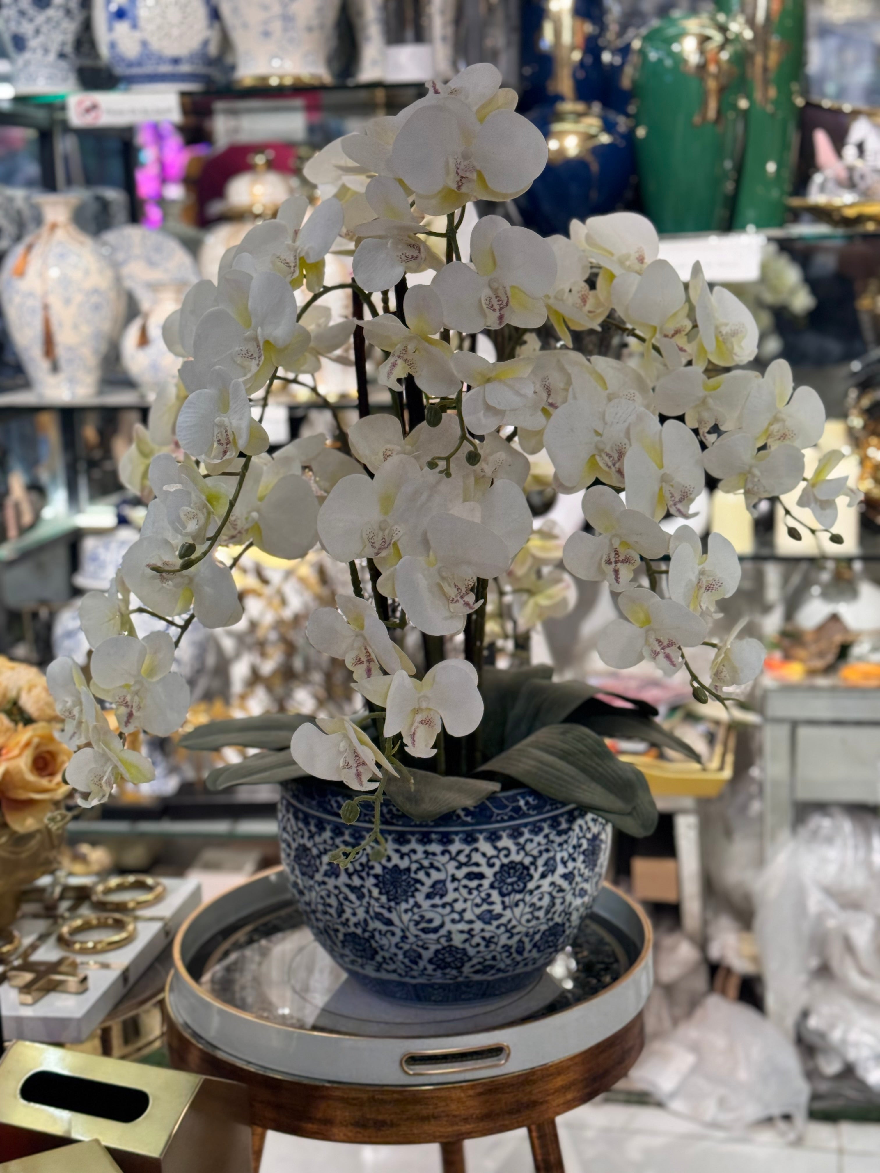 ORCHIDS WITH BLUE POTTERY