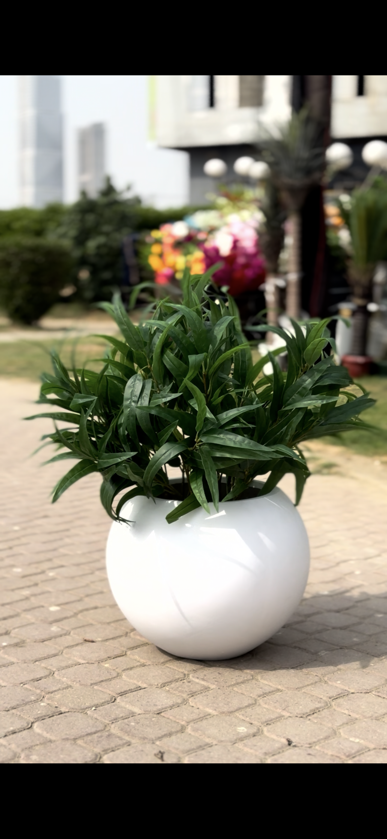 Premium leafy with sphere planter