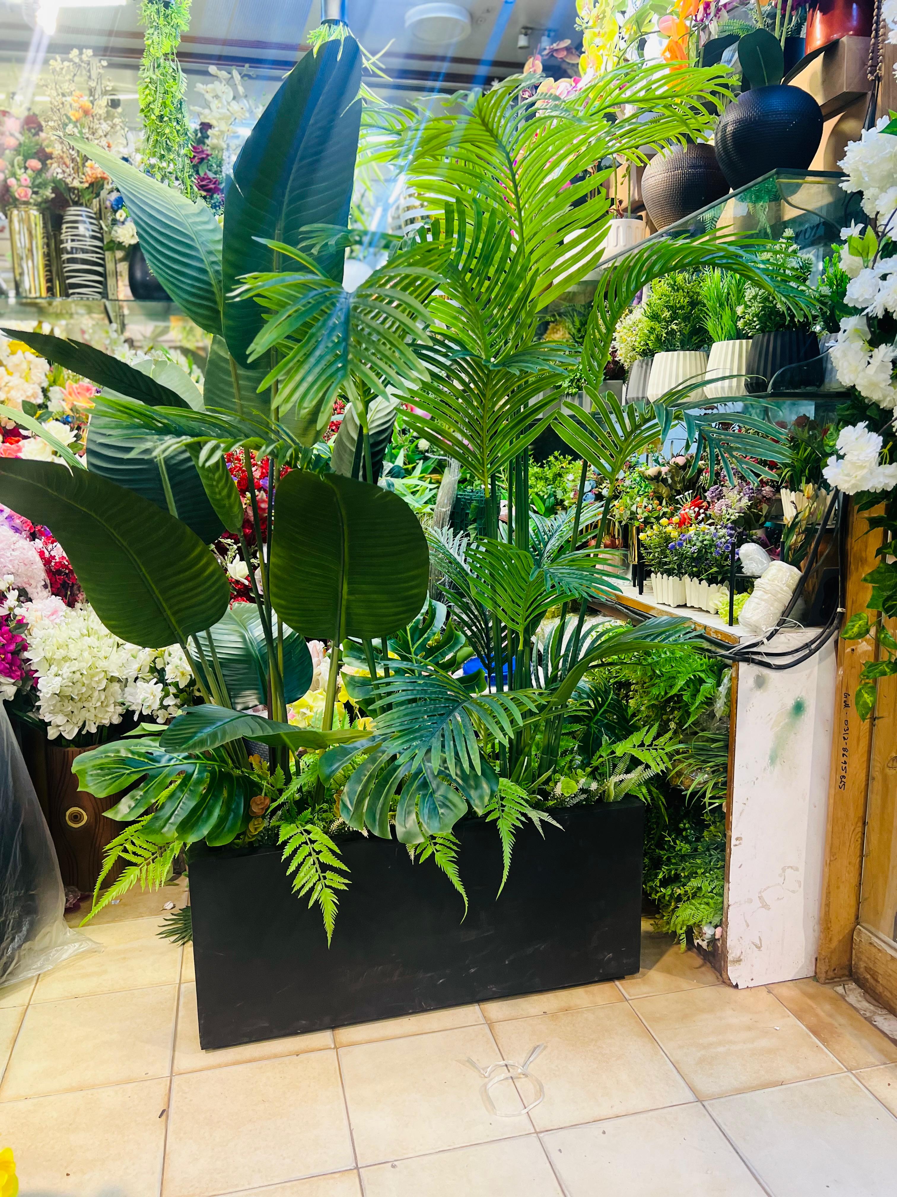 Exclusive Kiary with high end Plants