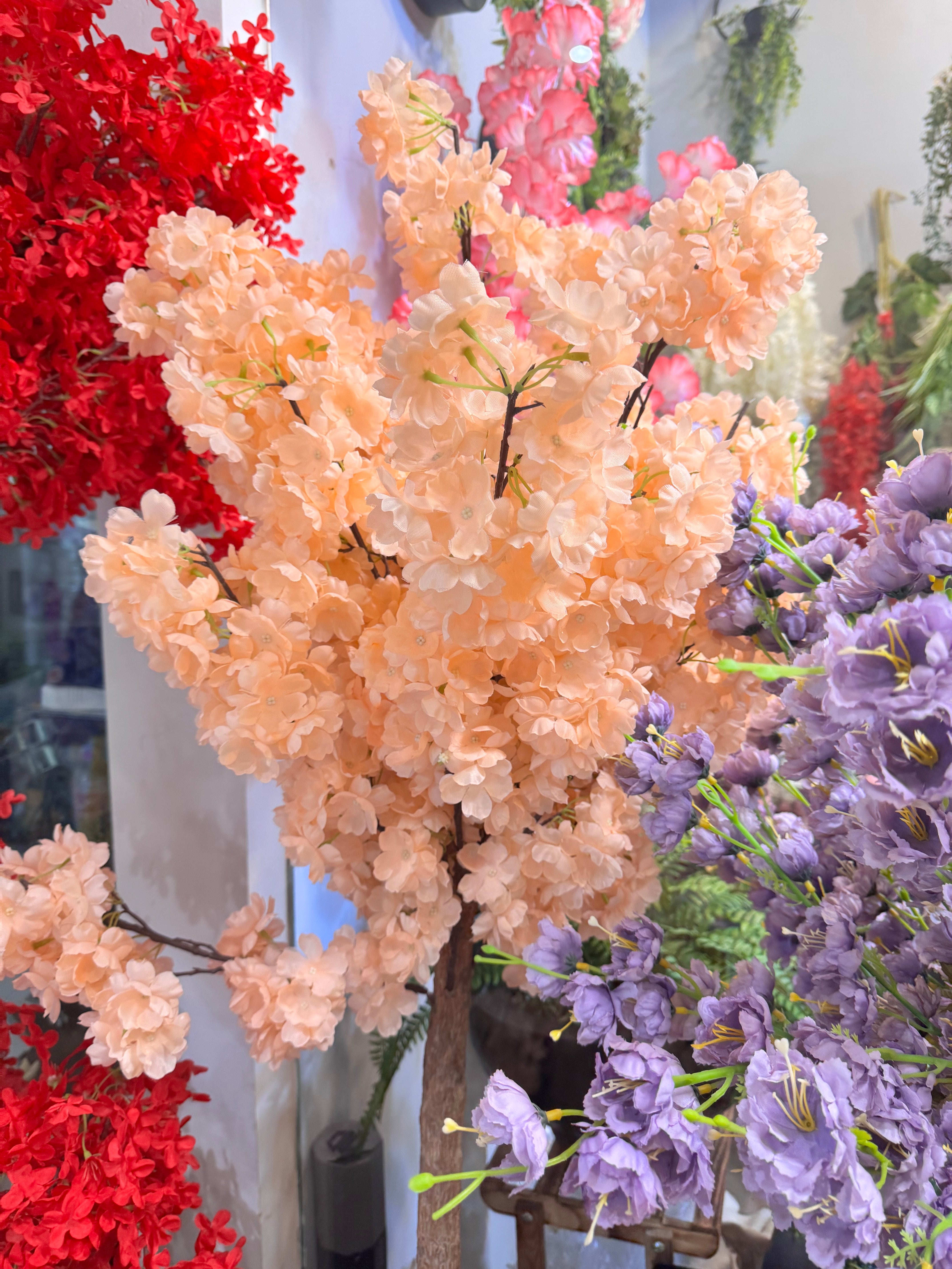 Floral plants