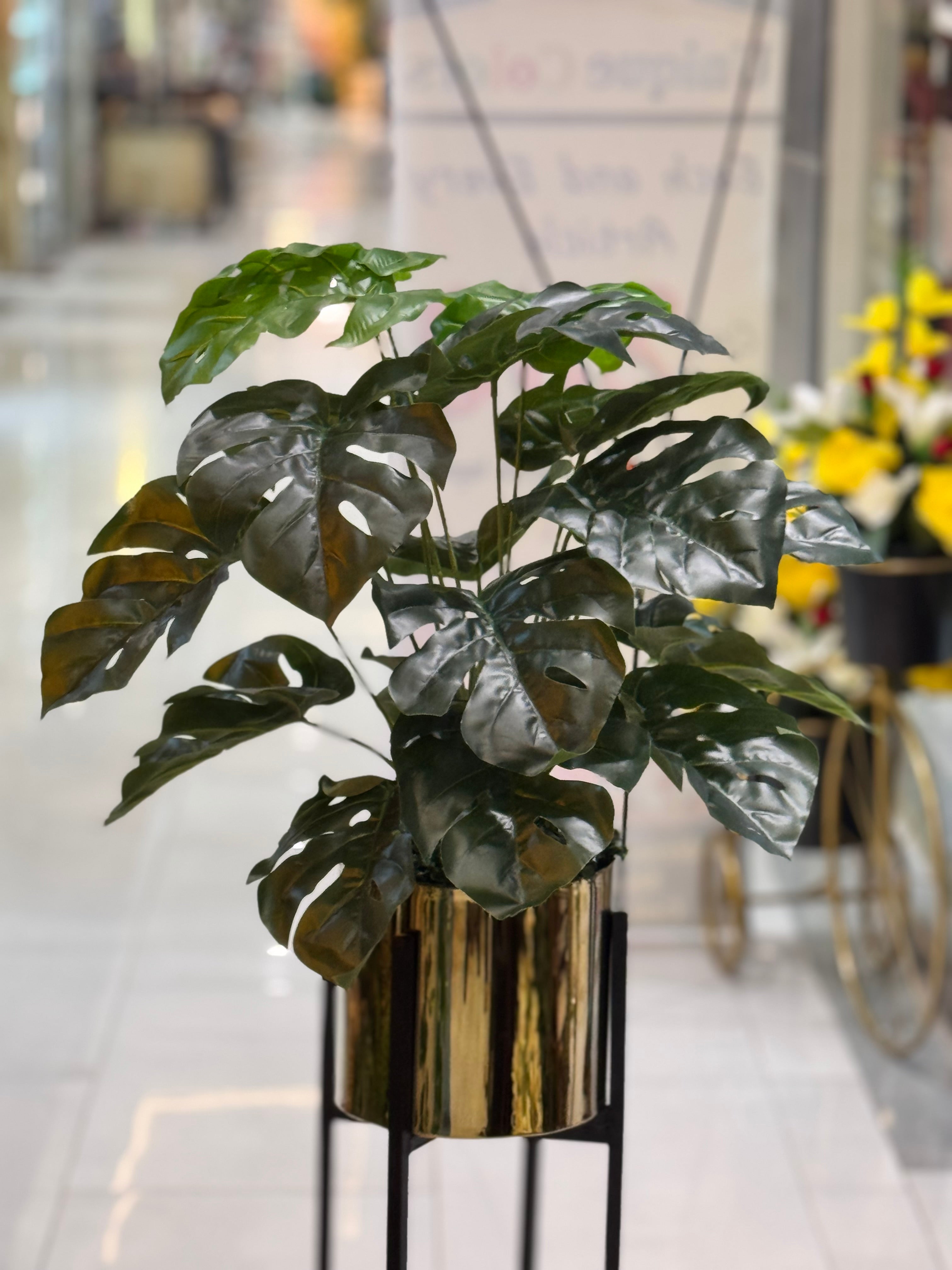 Century stand with plants