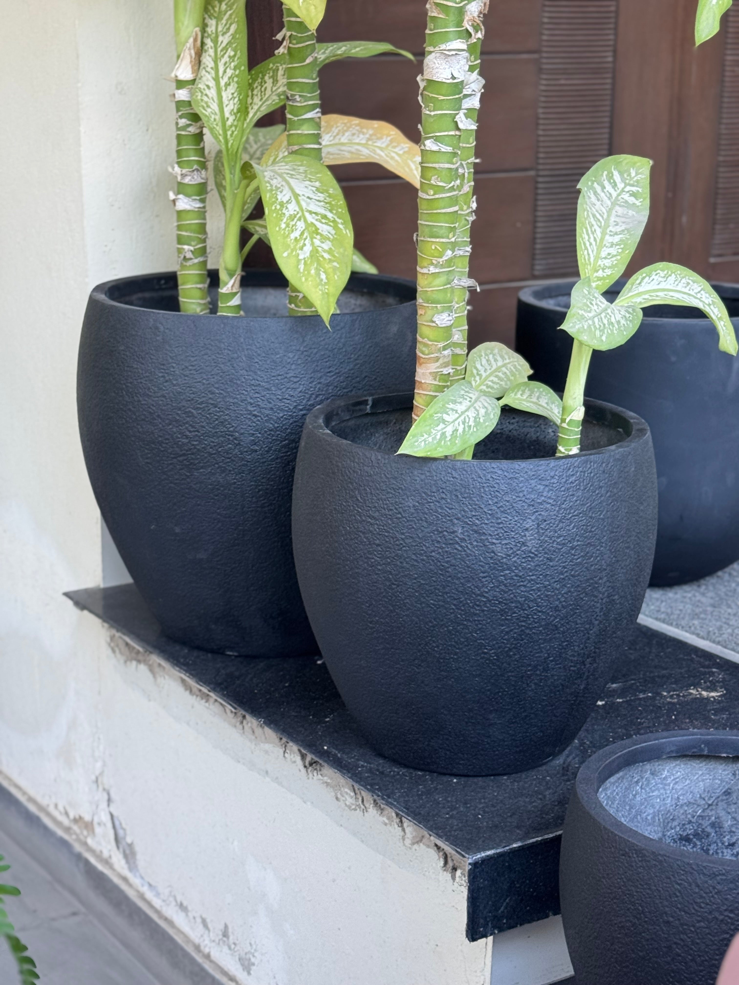 Texture planter set