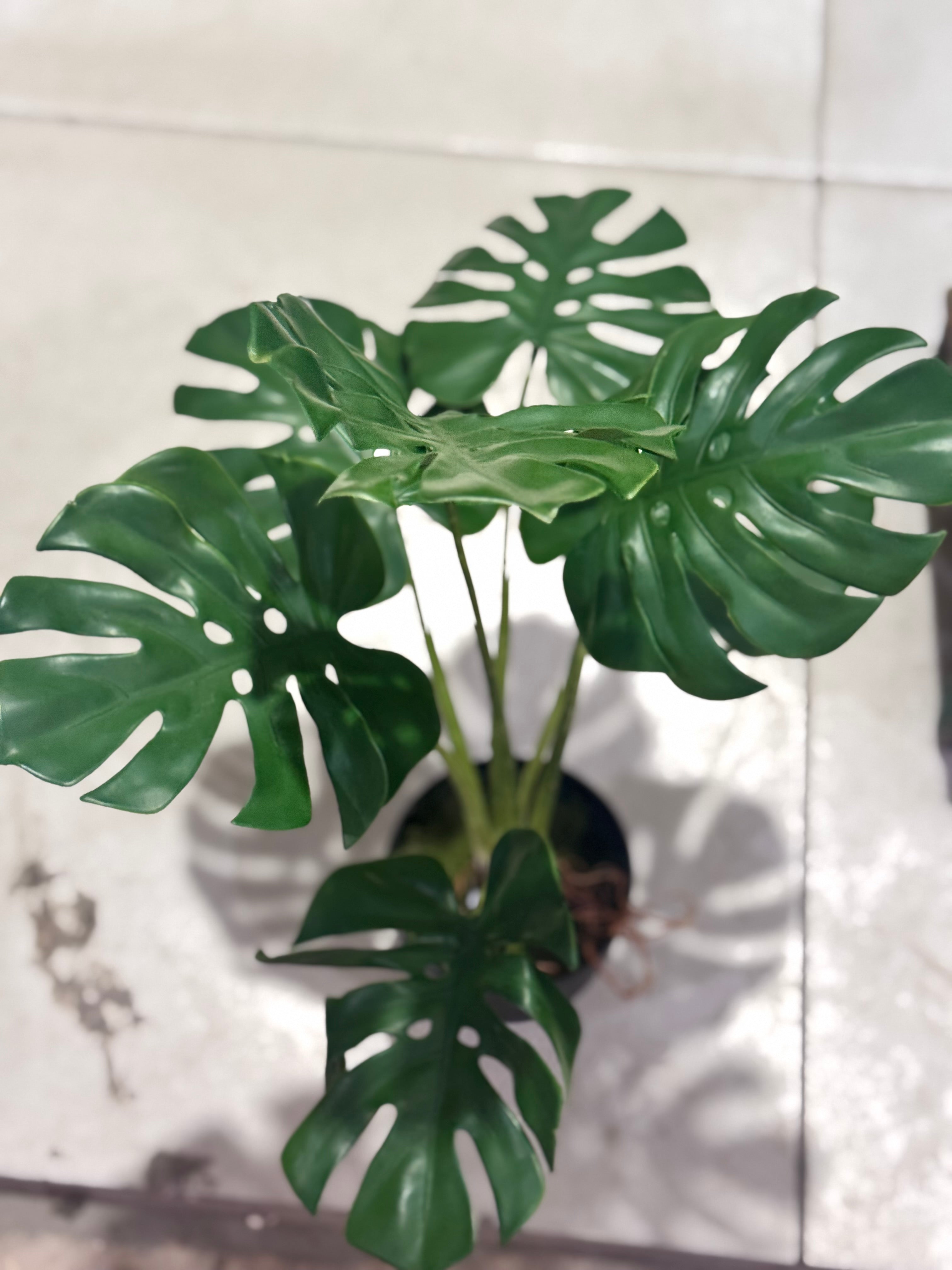 Artificial Mini Monstera Plant — Real Look Green Beauty