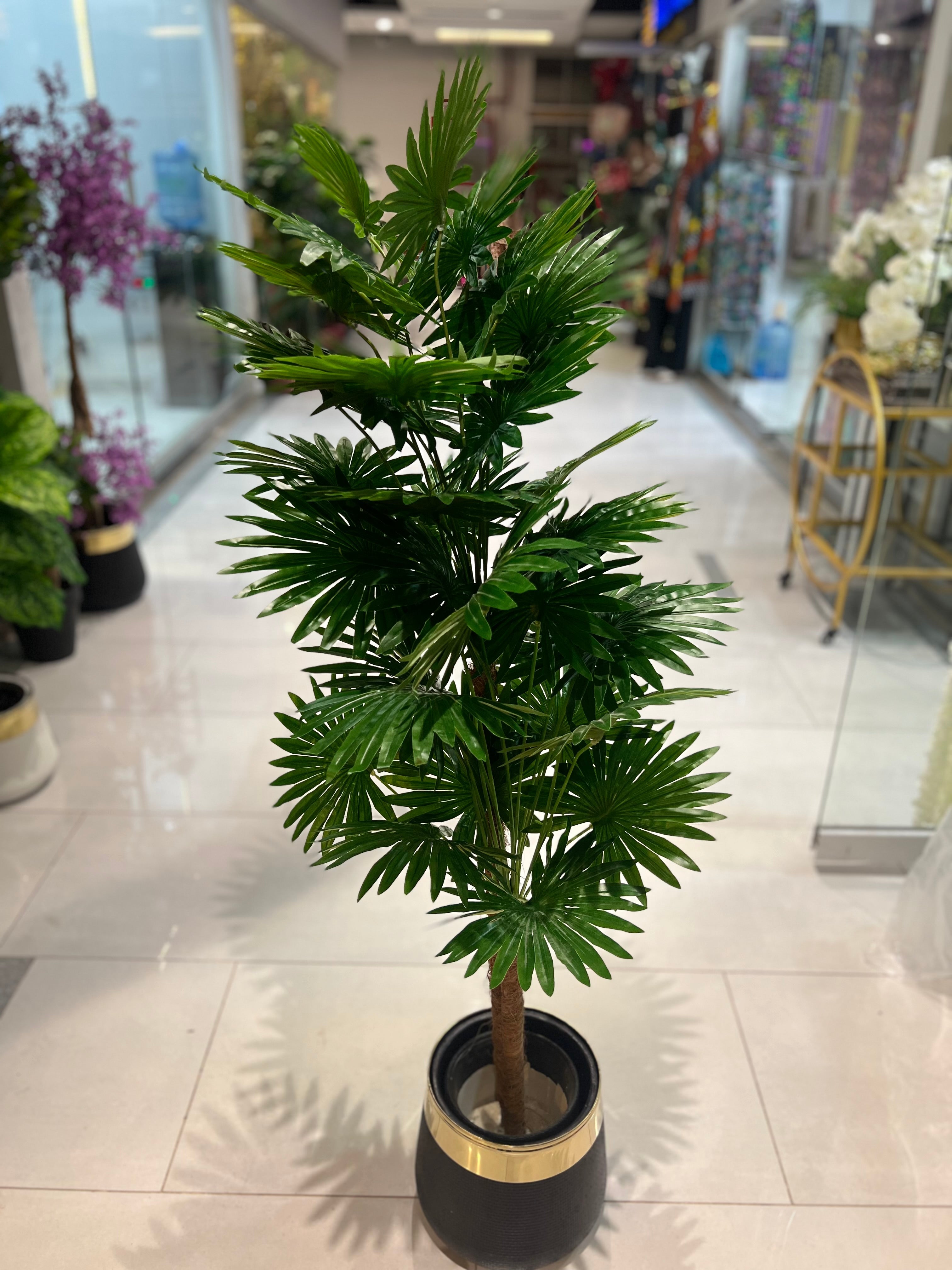 indoor plants shopee 36 leaves Arrangments – Fantasia Florist