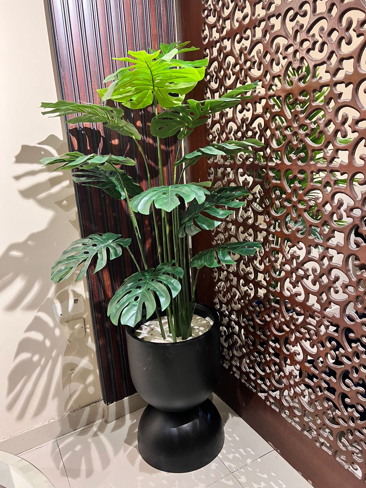 planter for monstera plant Monstera Plant with Planter – Fantasia Florist