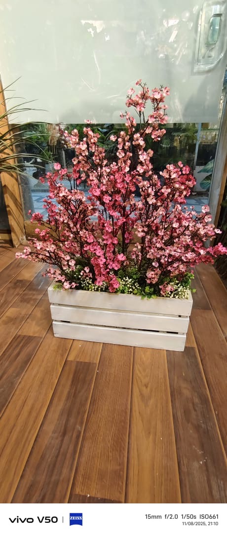Gypso in Wooden Planter