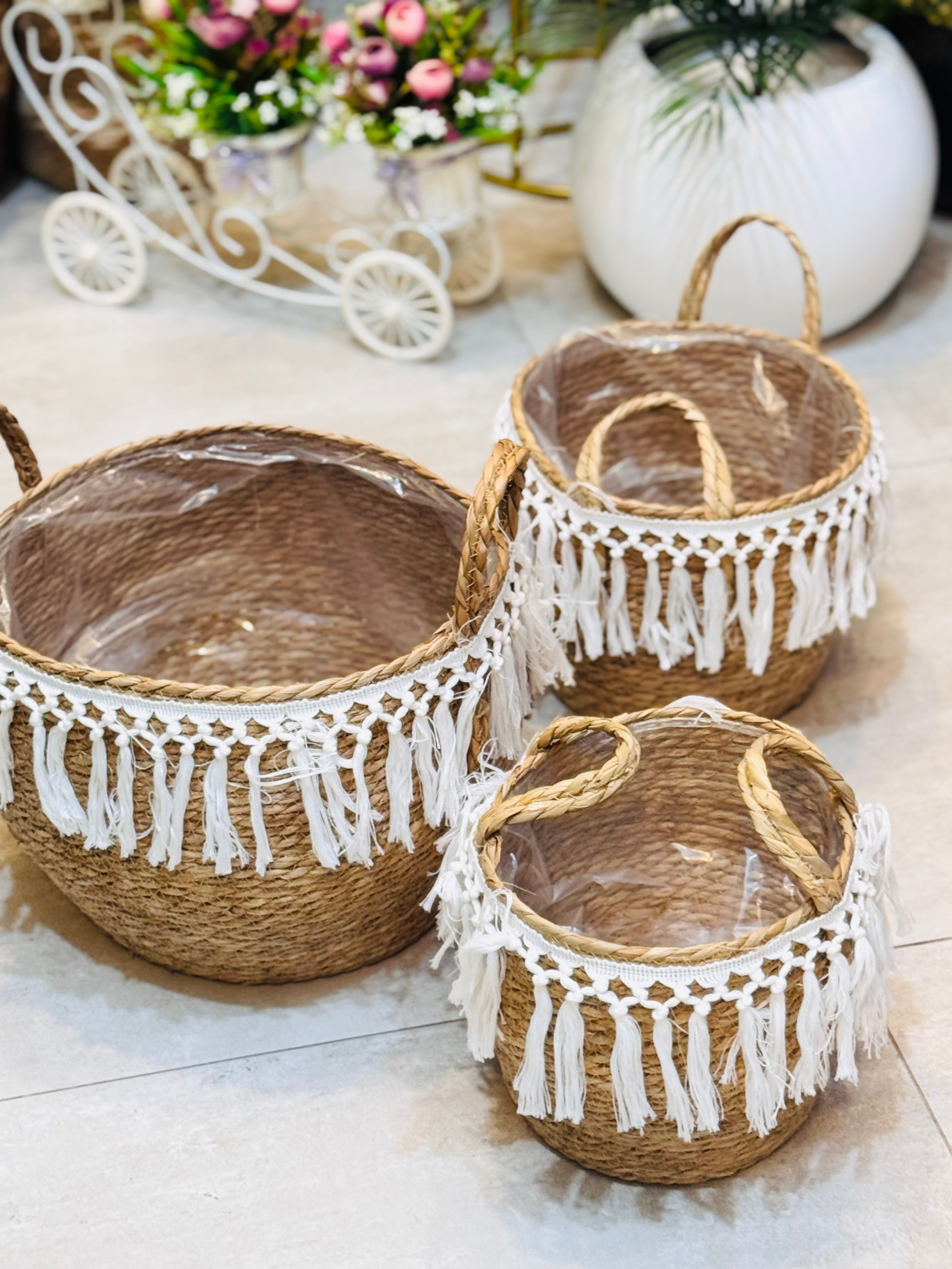 Cane planters