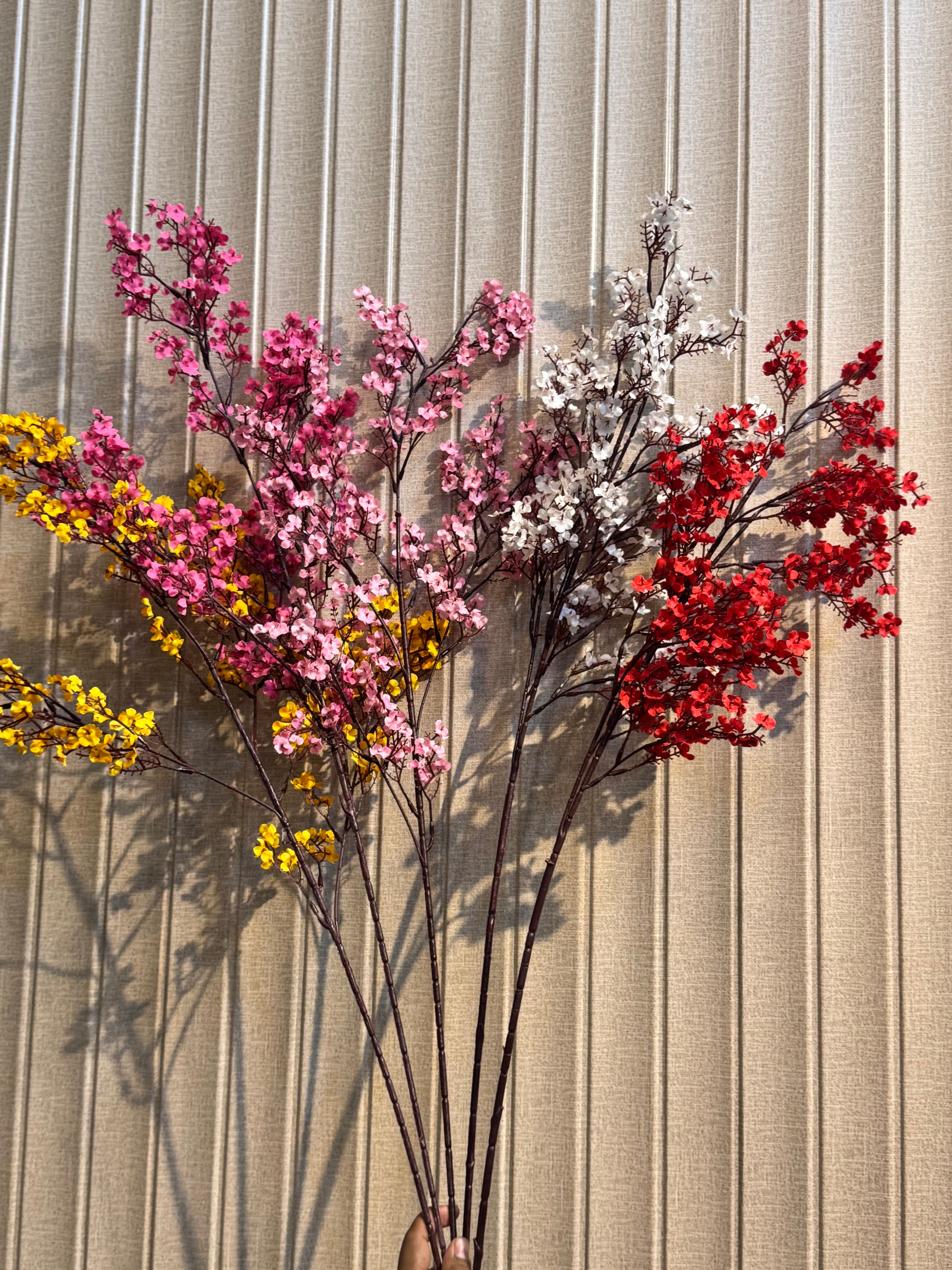 Gipso Stems