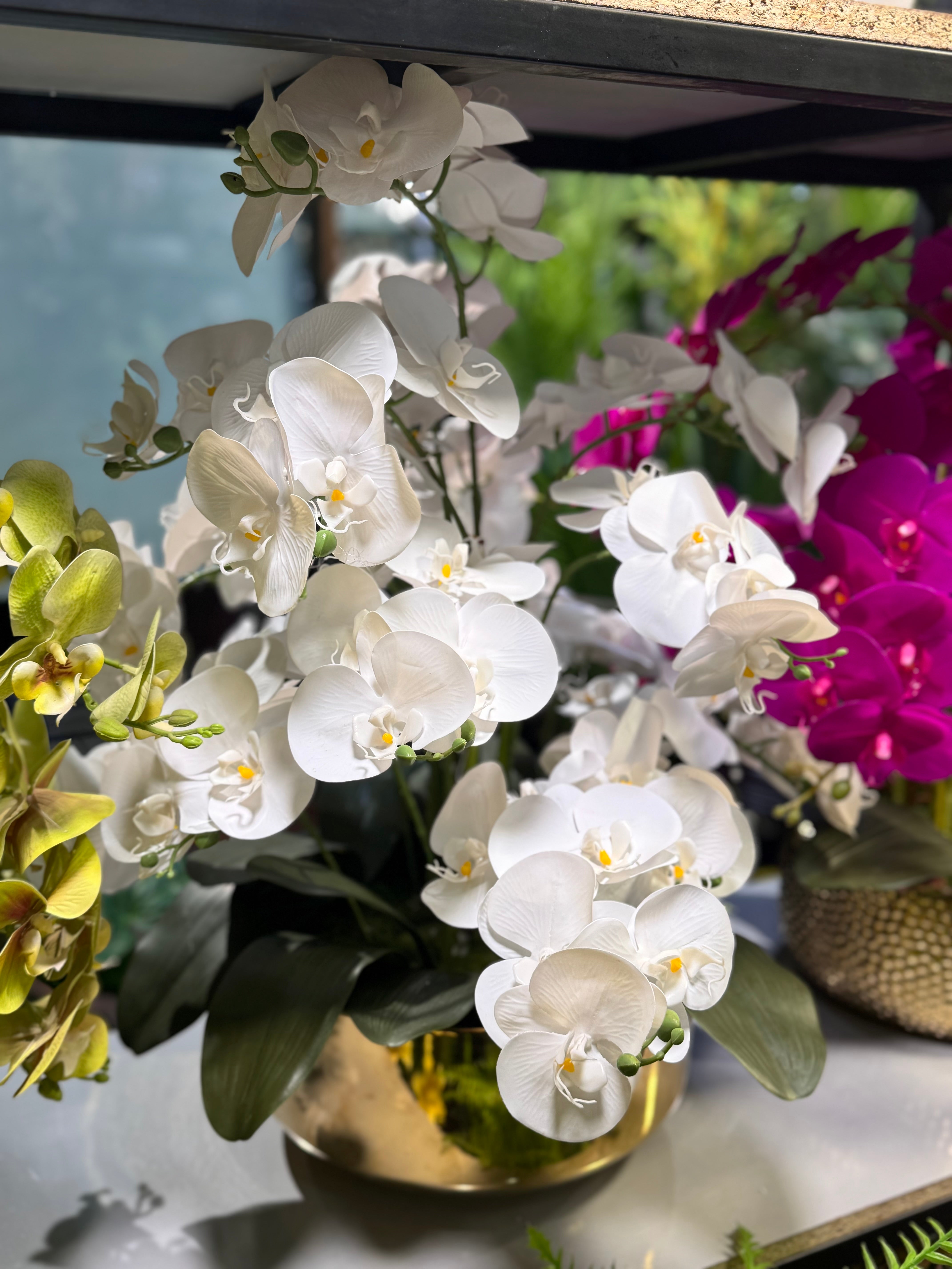 Orchids arrangements (Phalaenopsis)