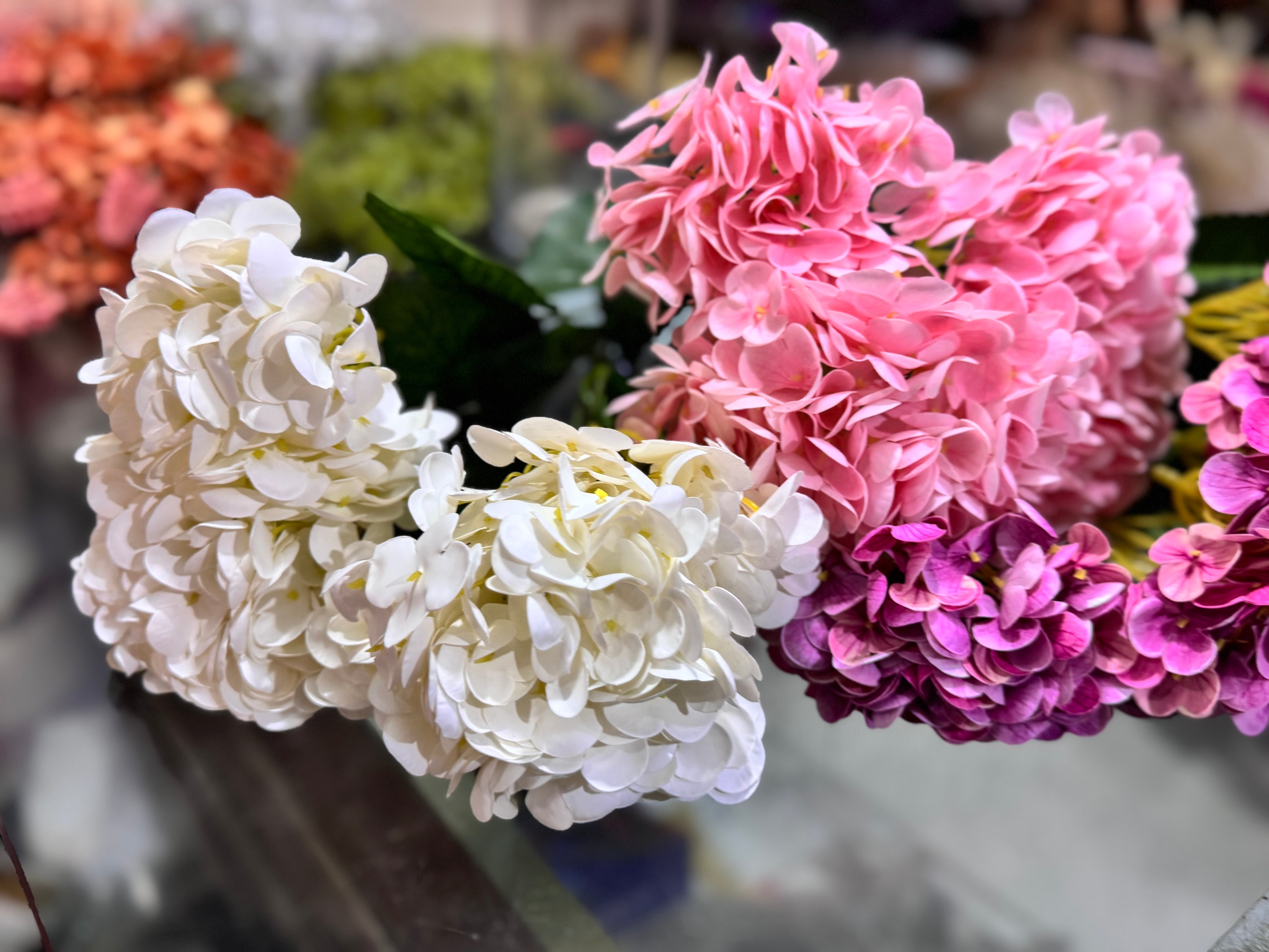 PREMIUM Hydrangeas Bunches