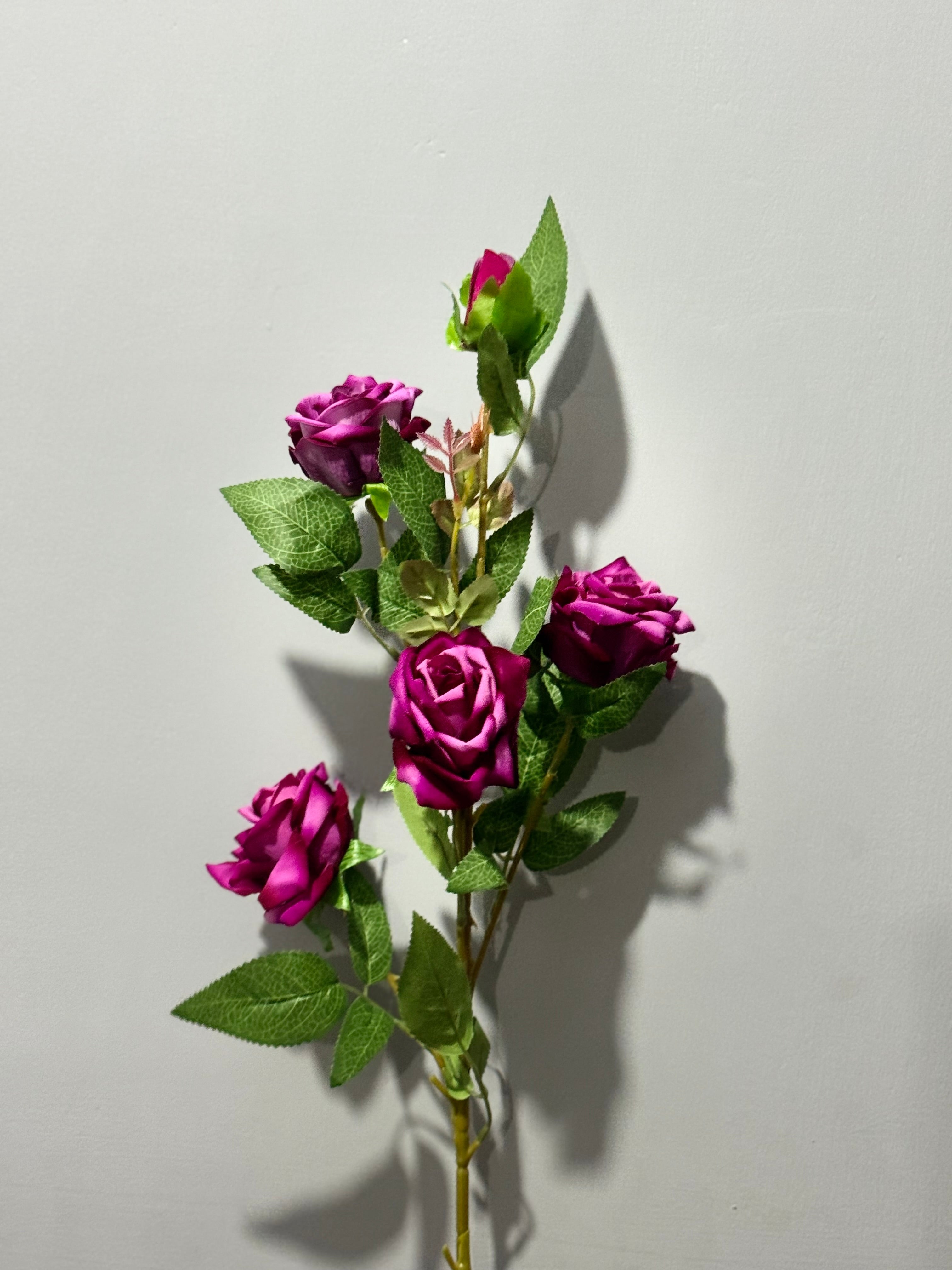 Velvety Roses sticks