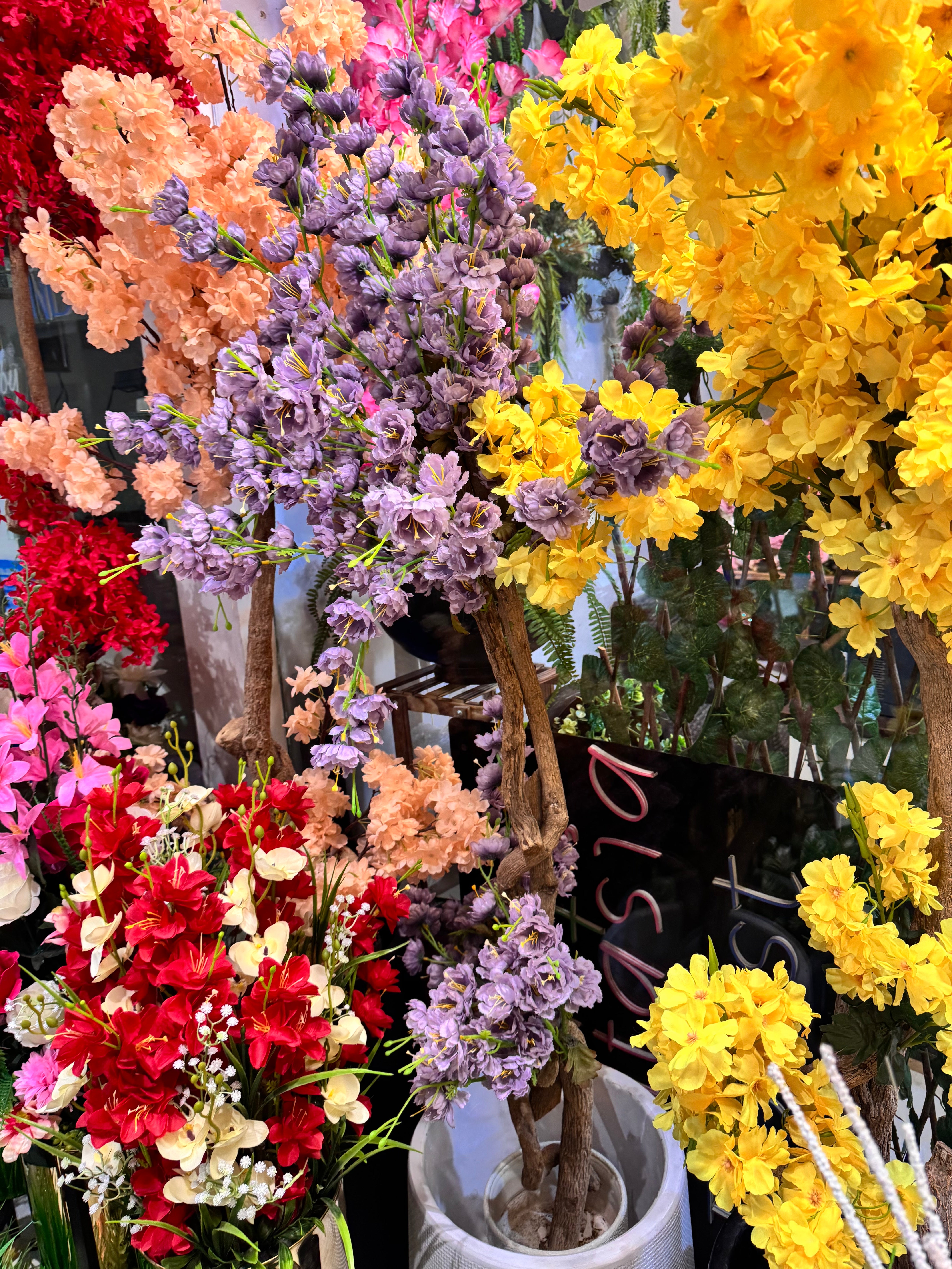 Floral plants
