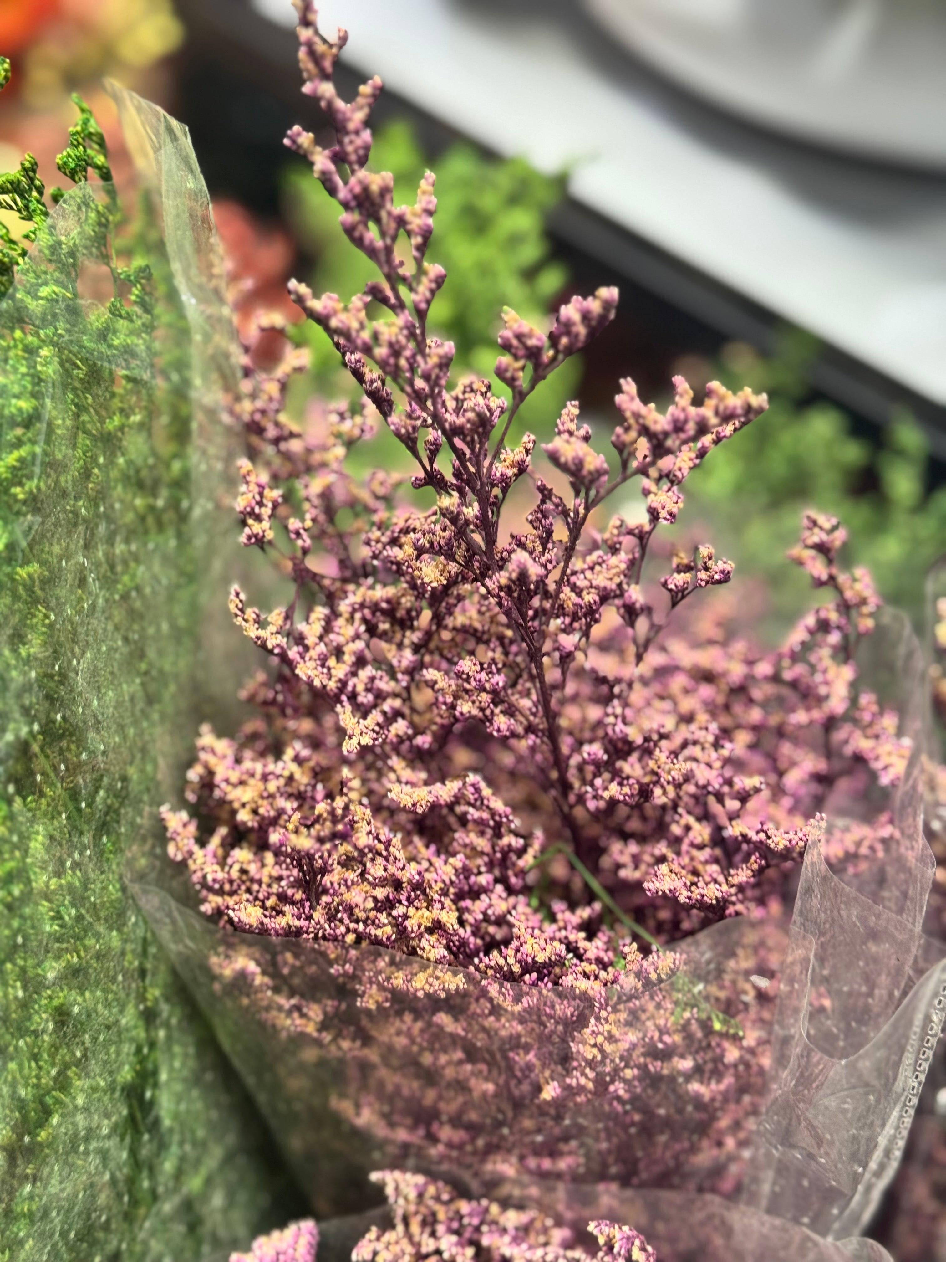 Premium Dried floral packet