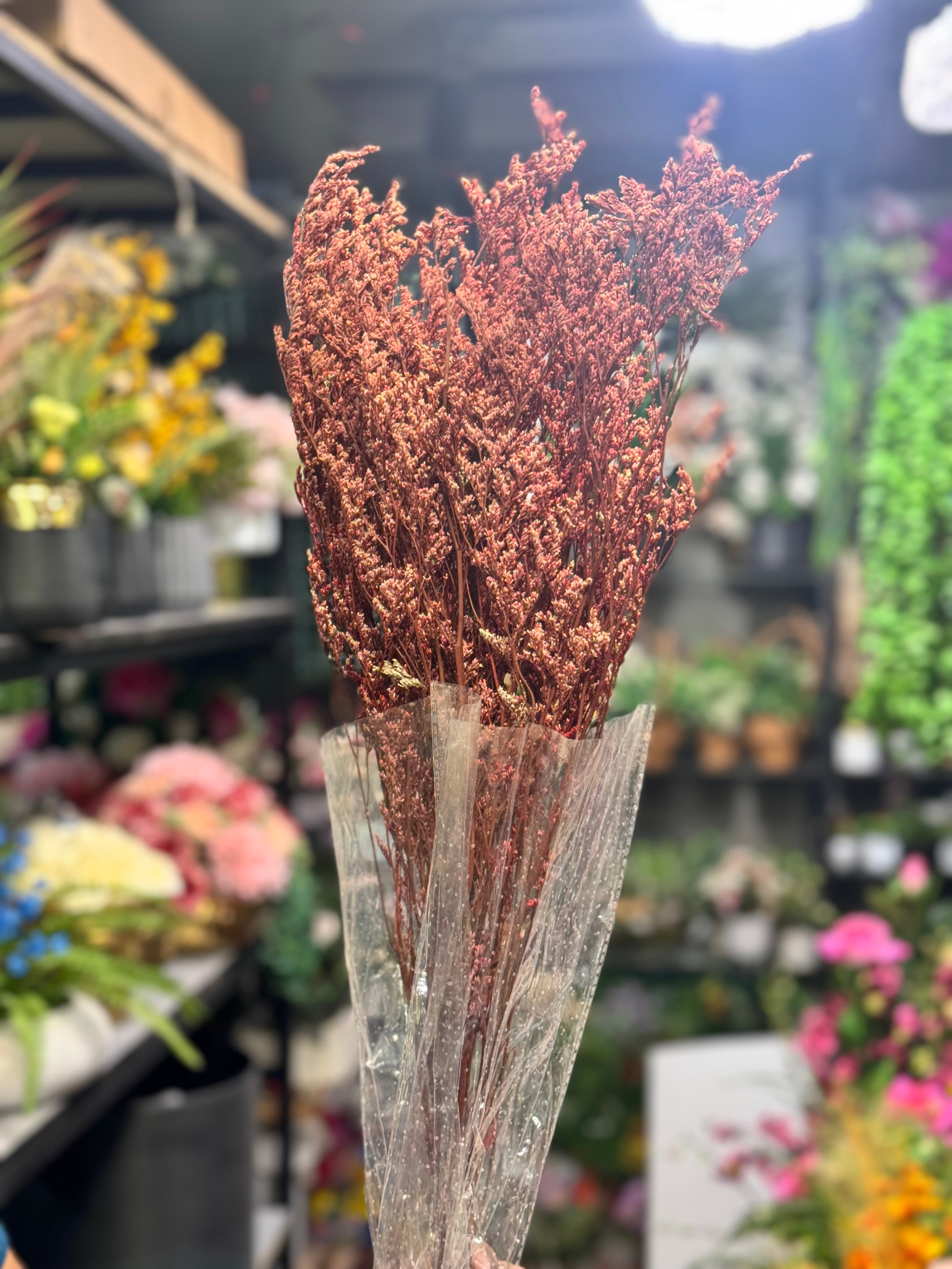 Premium Dried floral packet