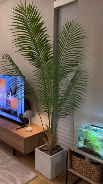 Premium Real -Touch arica palm