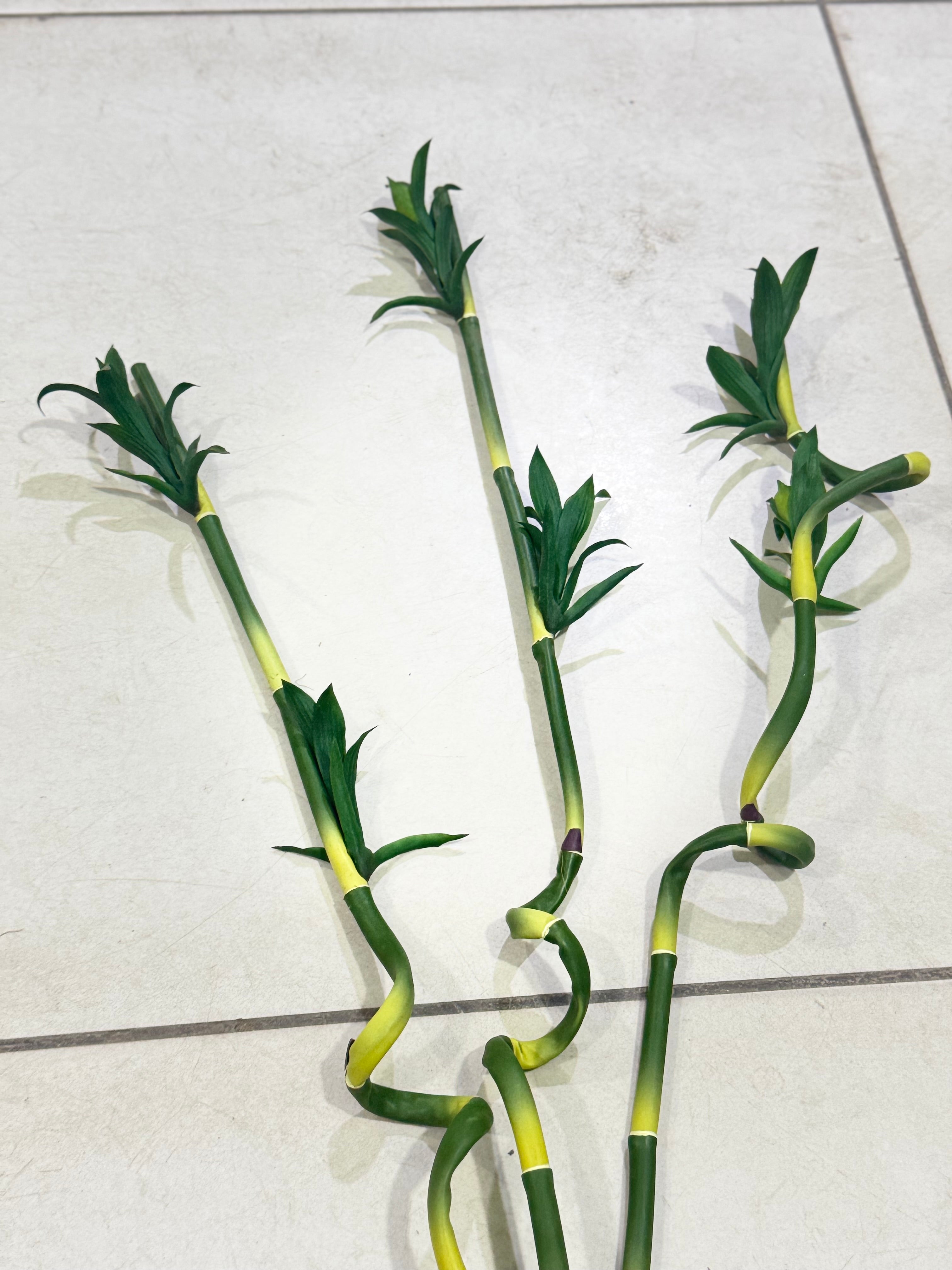 LUCKY BAMBO STEM