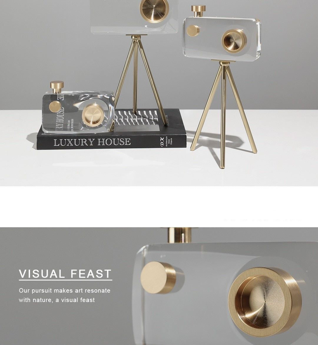 LUXURY CRYSTAL CAMERA -decor