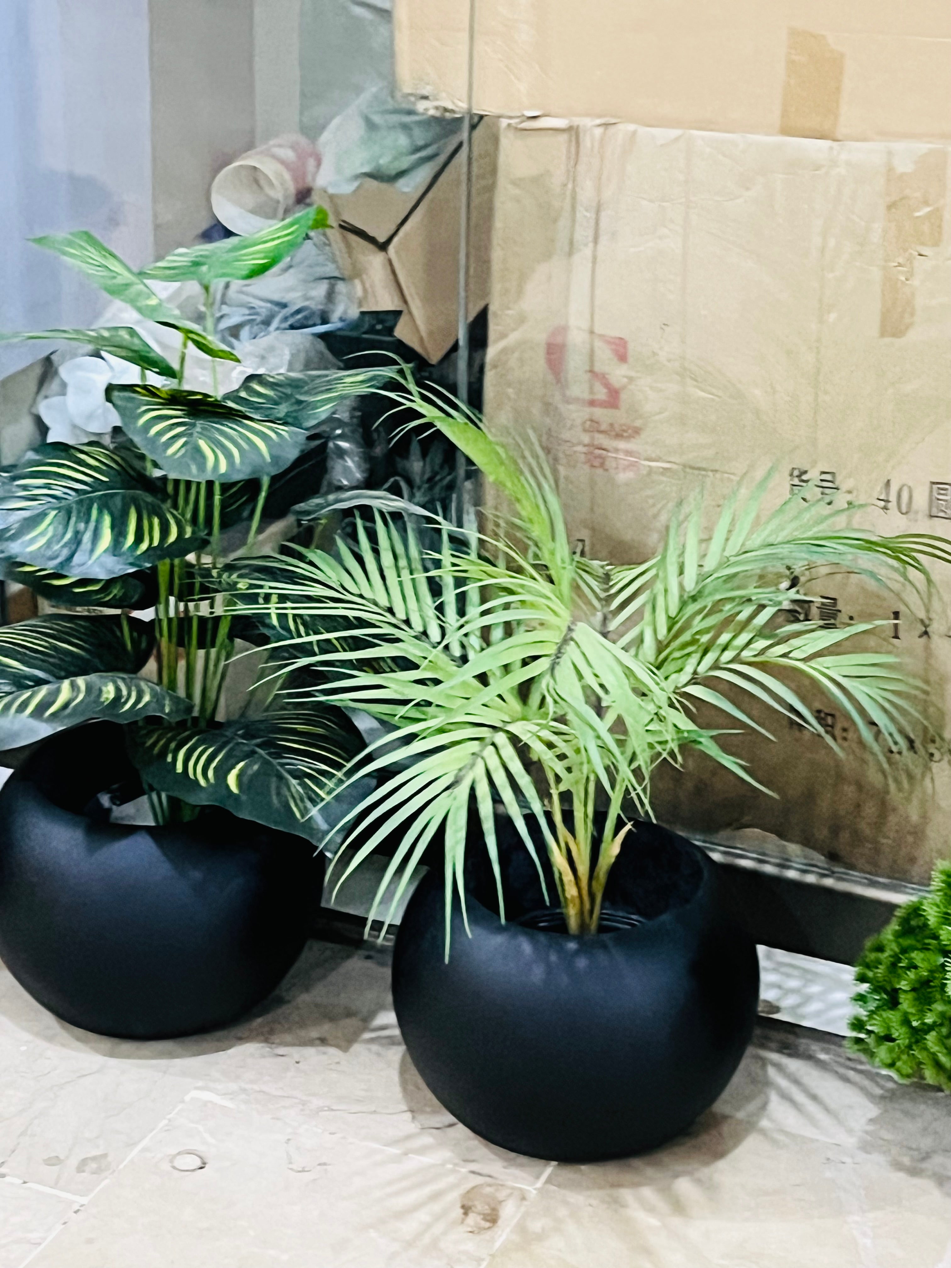 Green plants with Round planter