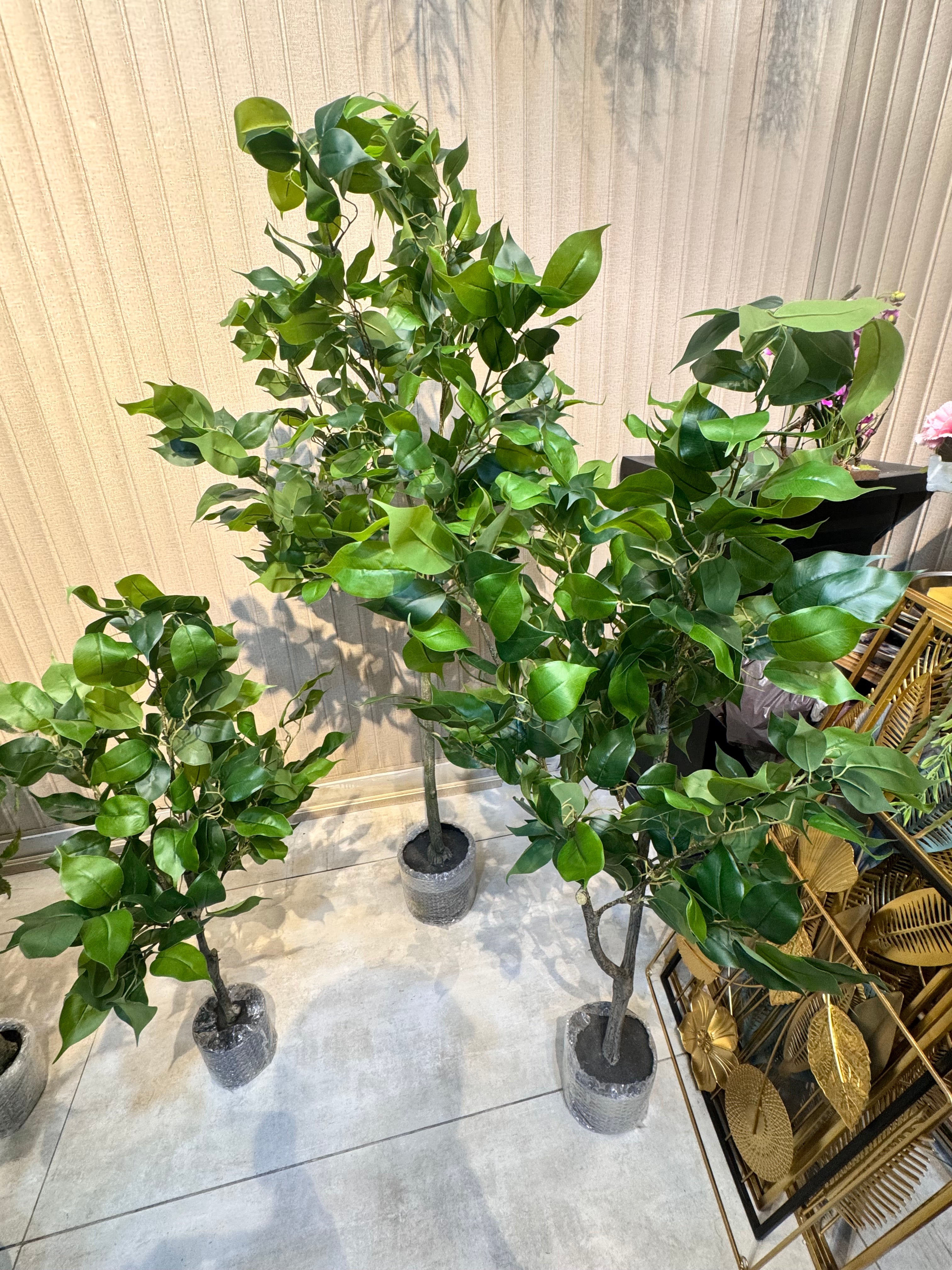 EXCLUSIVE REAL LOOKING PLANTS