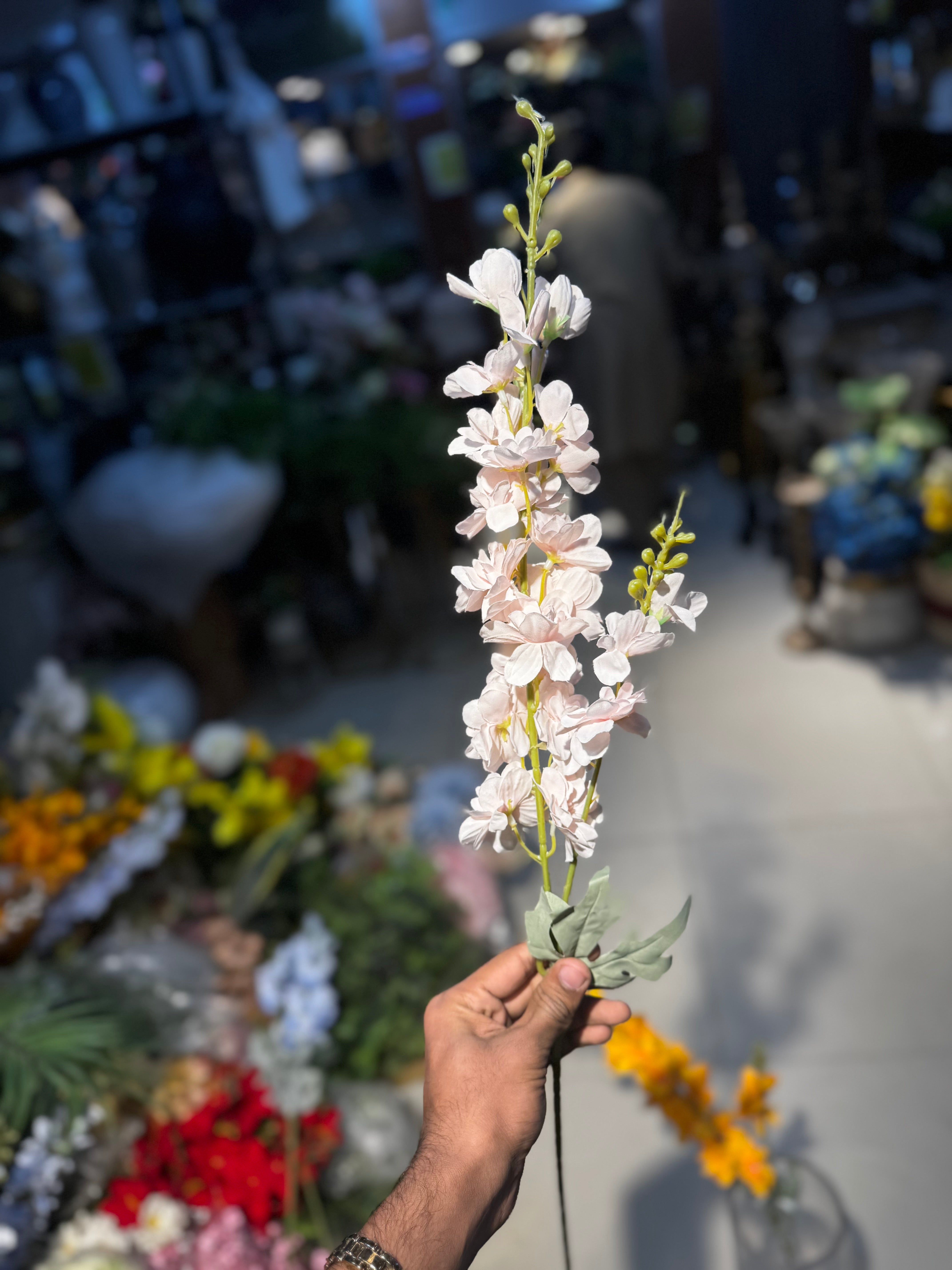 Premium blossoms stems