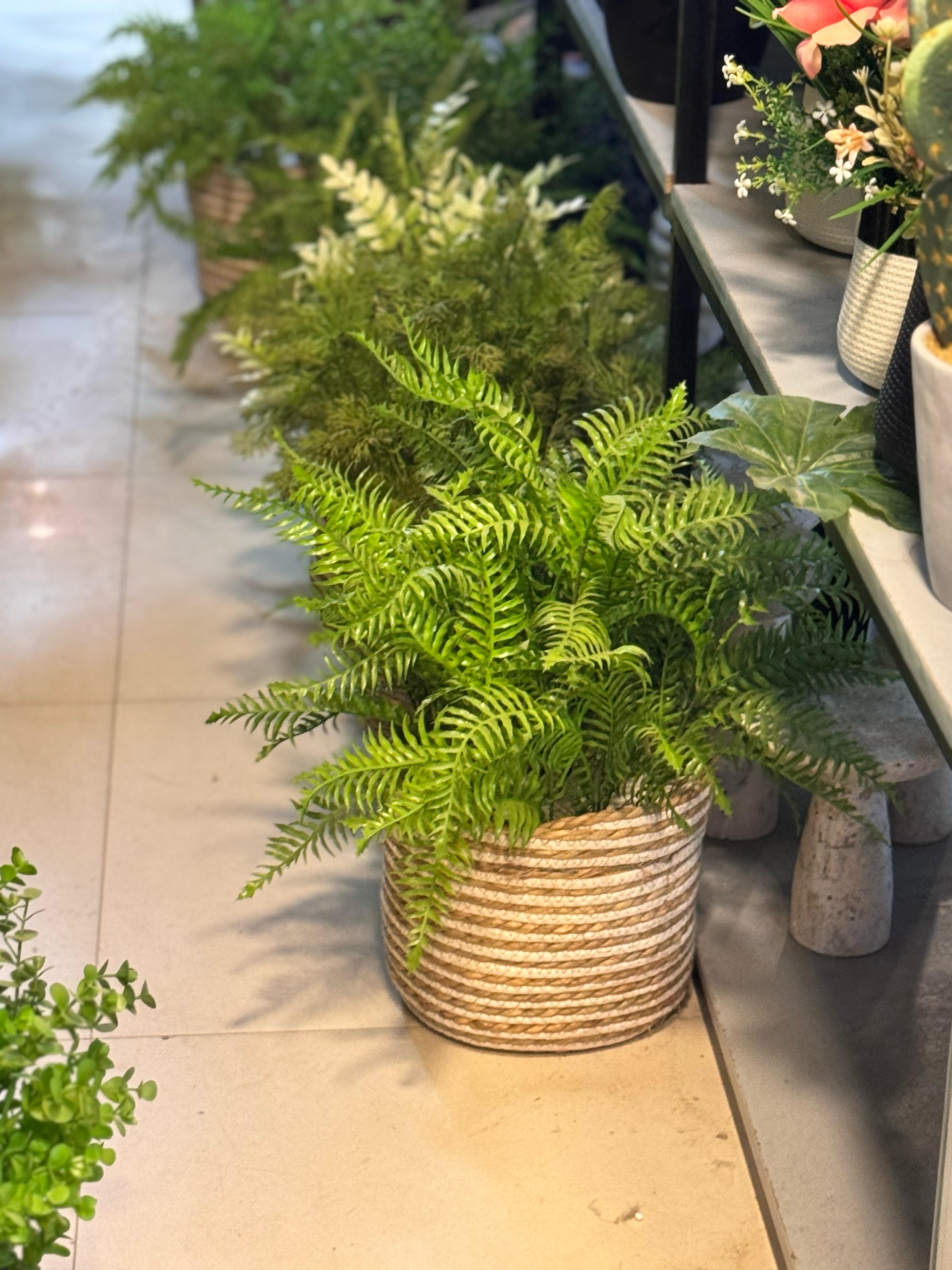 Cane Basket with Fillers