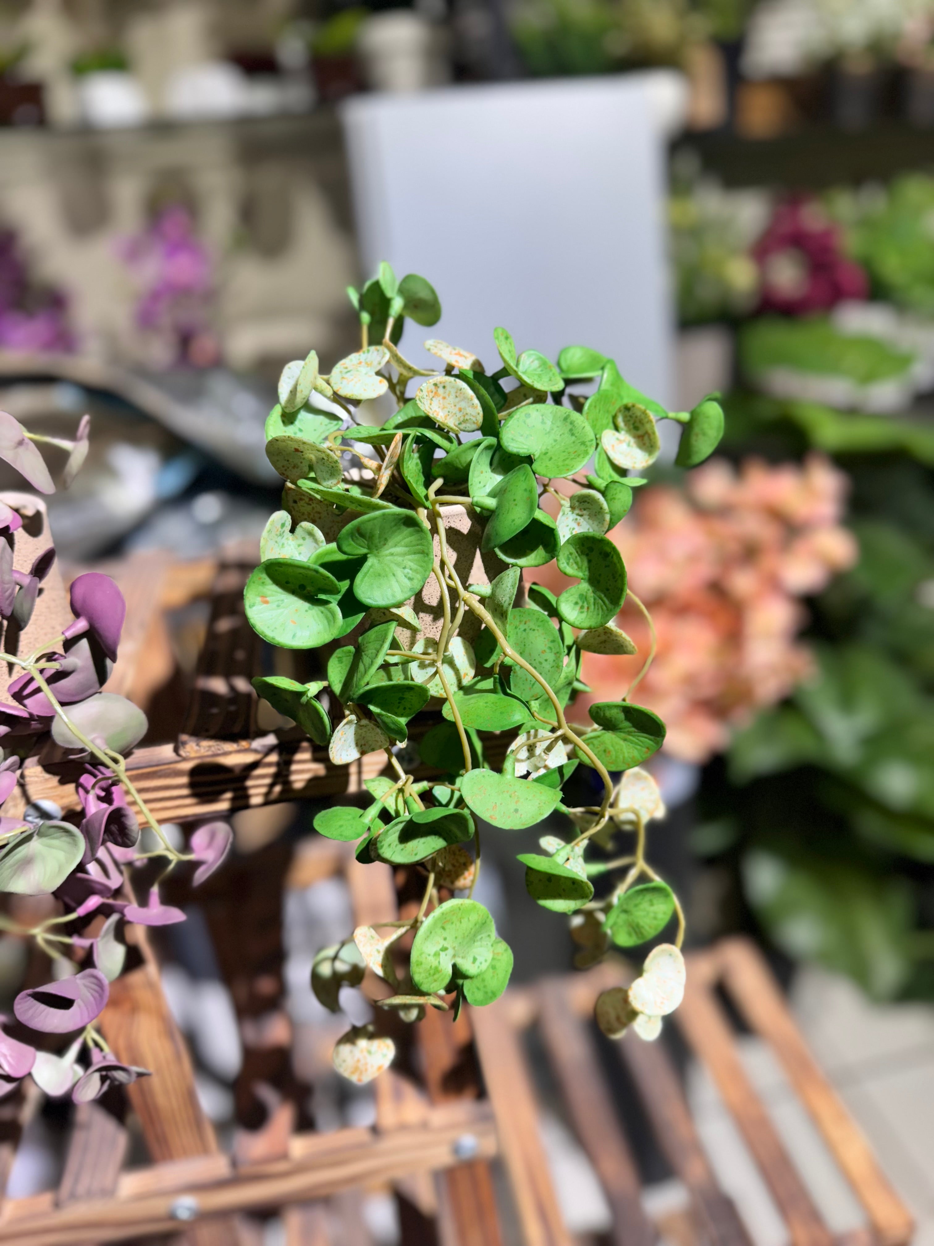 Real Looking hanging plants pot is