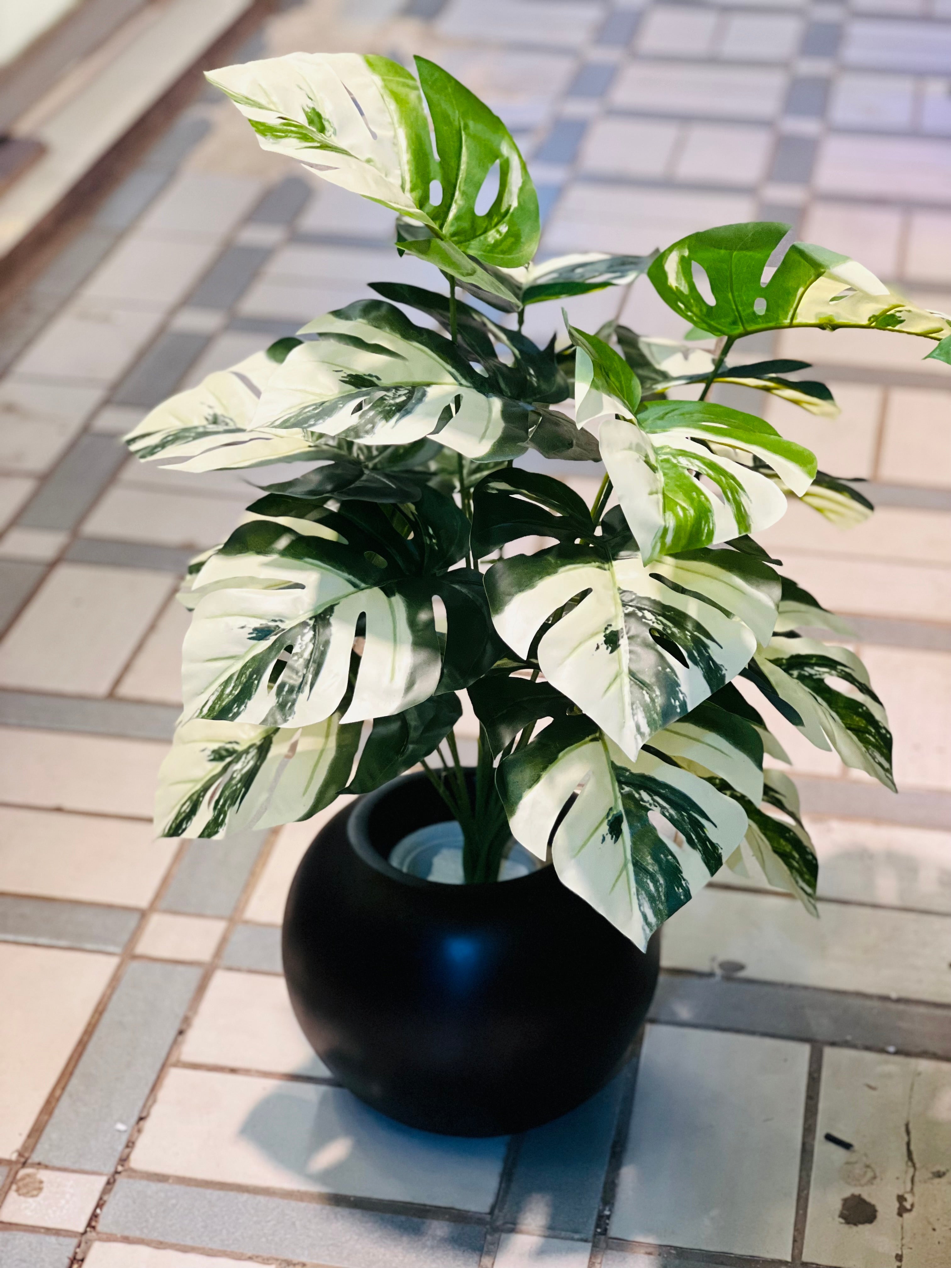 Green plants with small planter