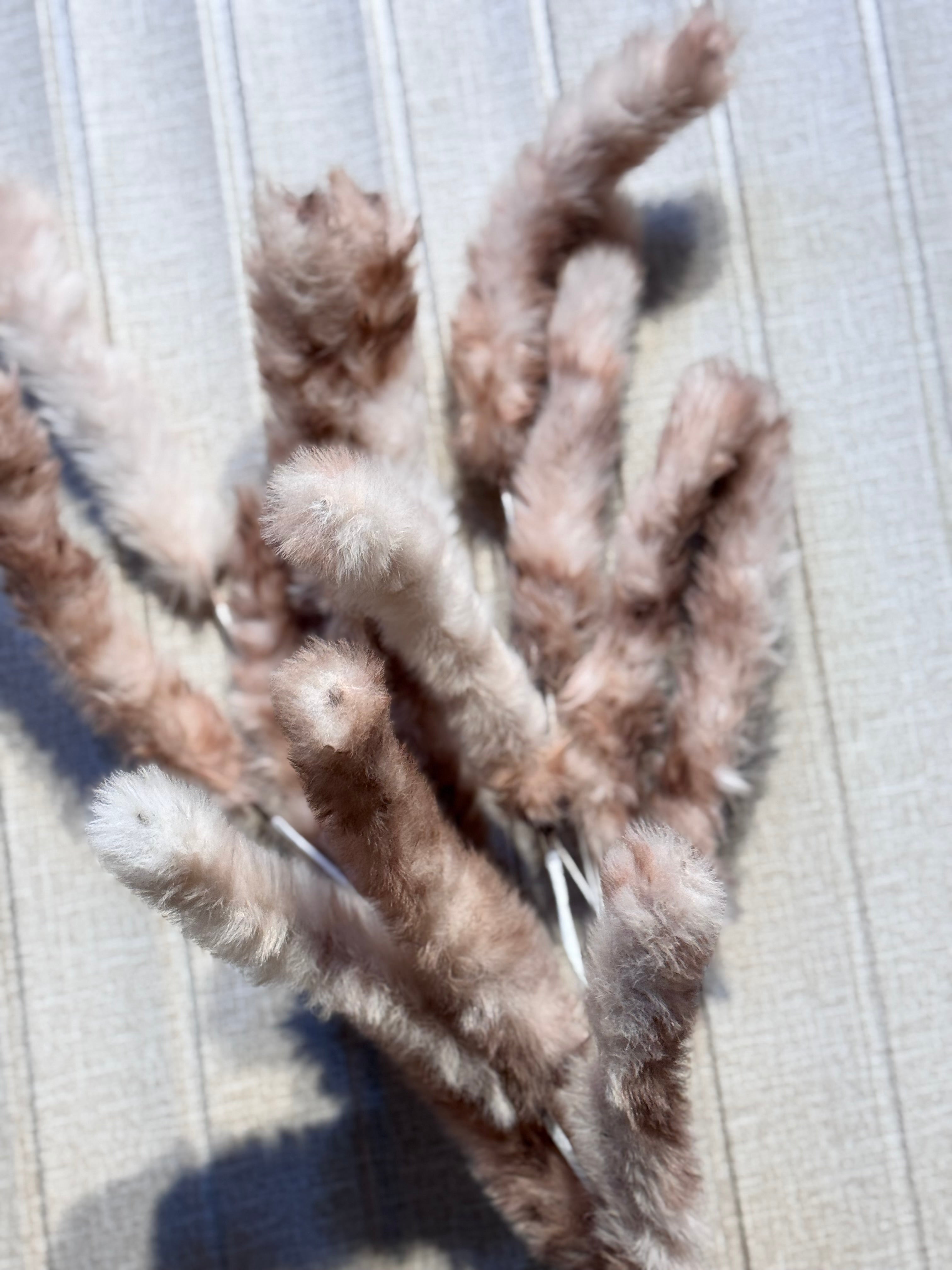 FLUFFY PAMPAS