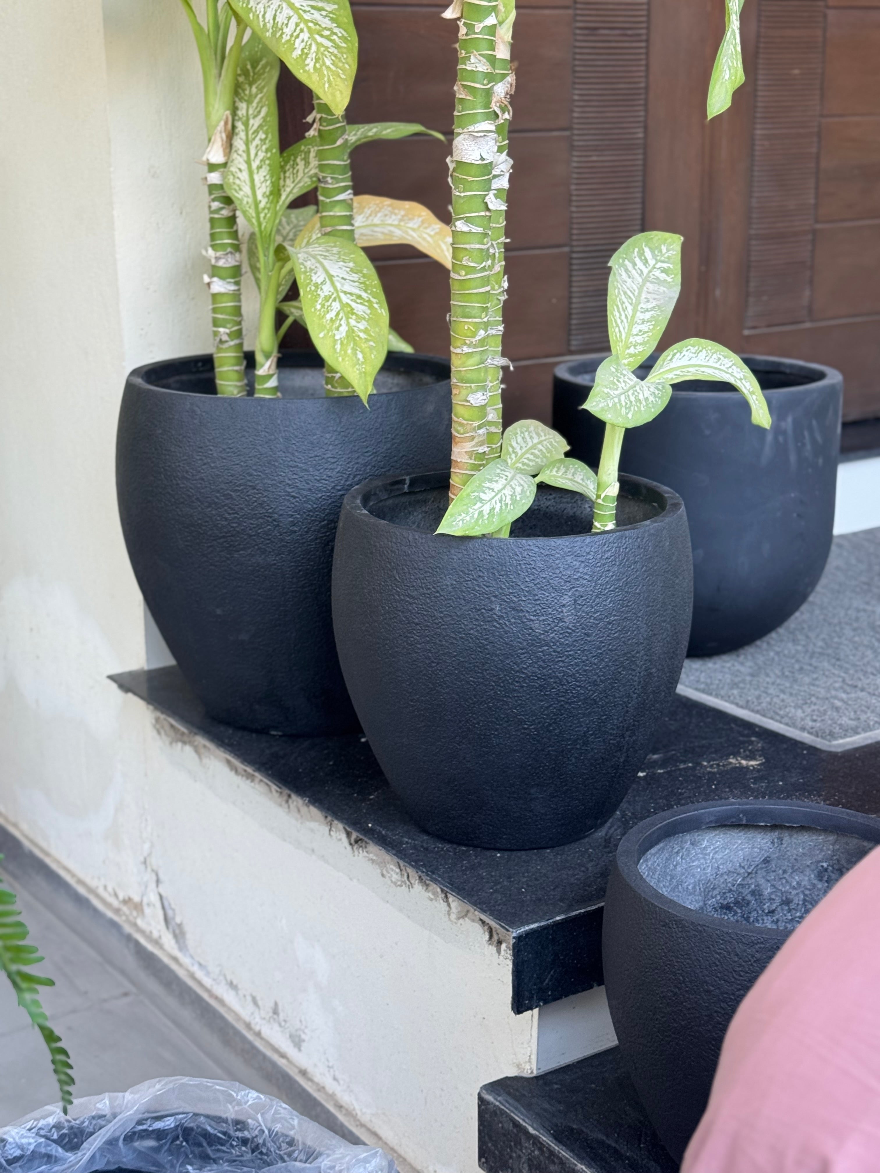 Texture planter set