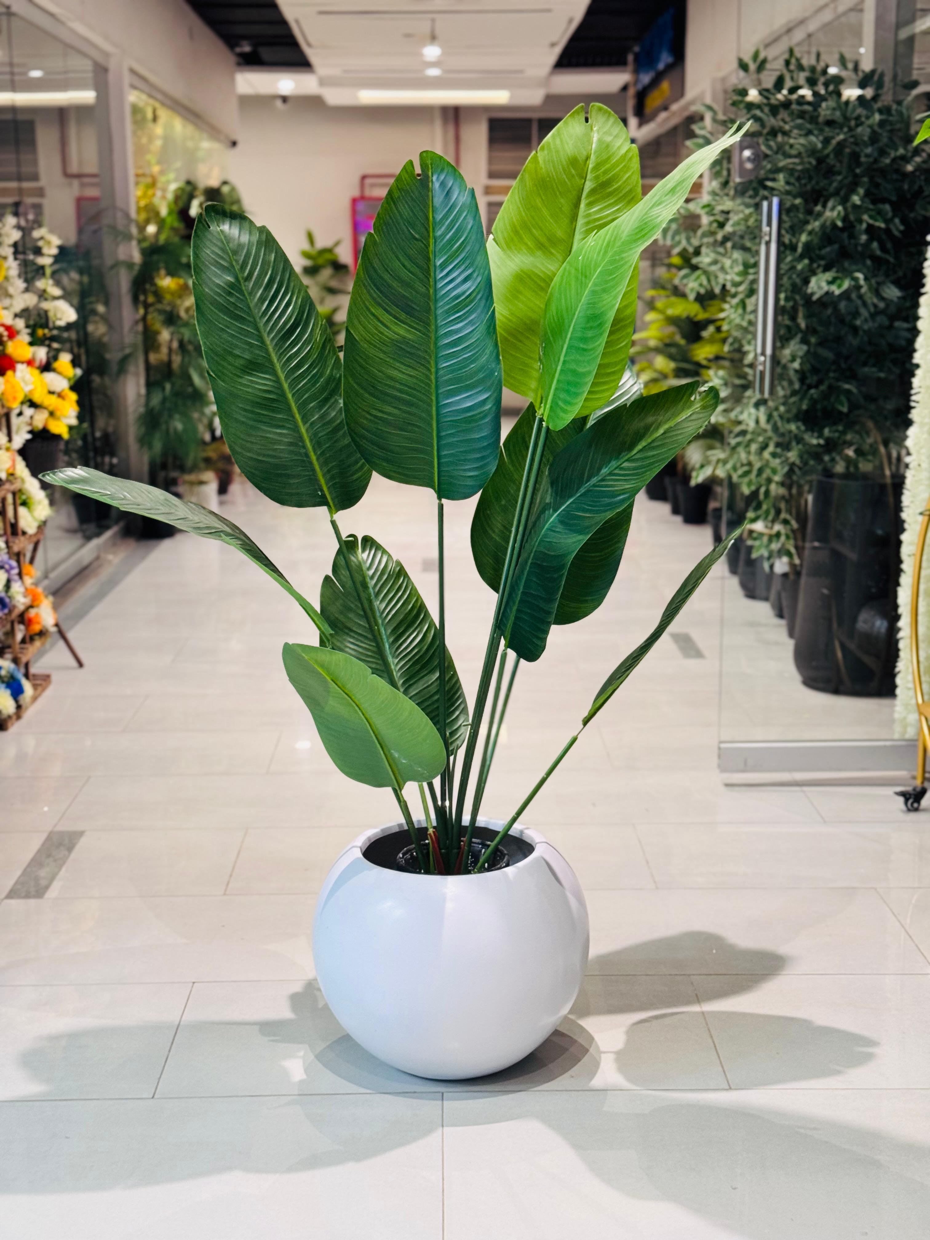 Rubber Banana With Round Planter