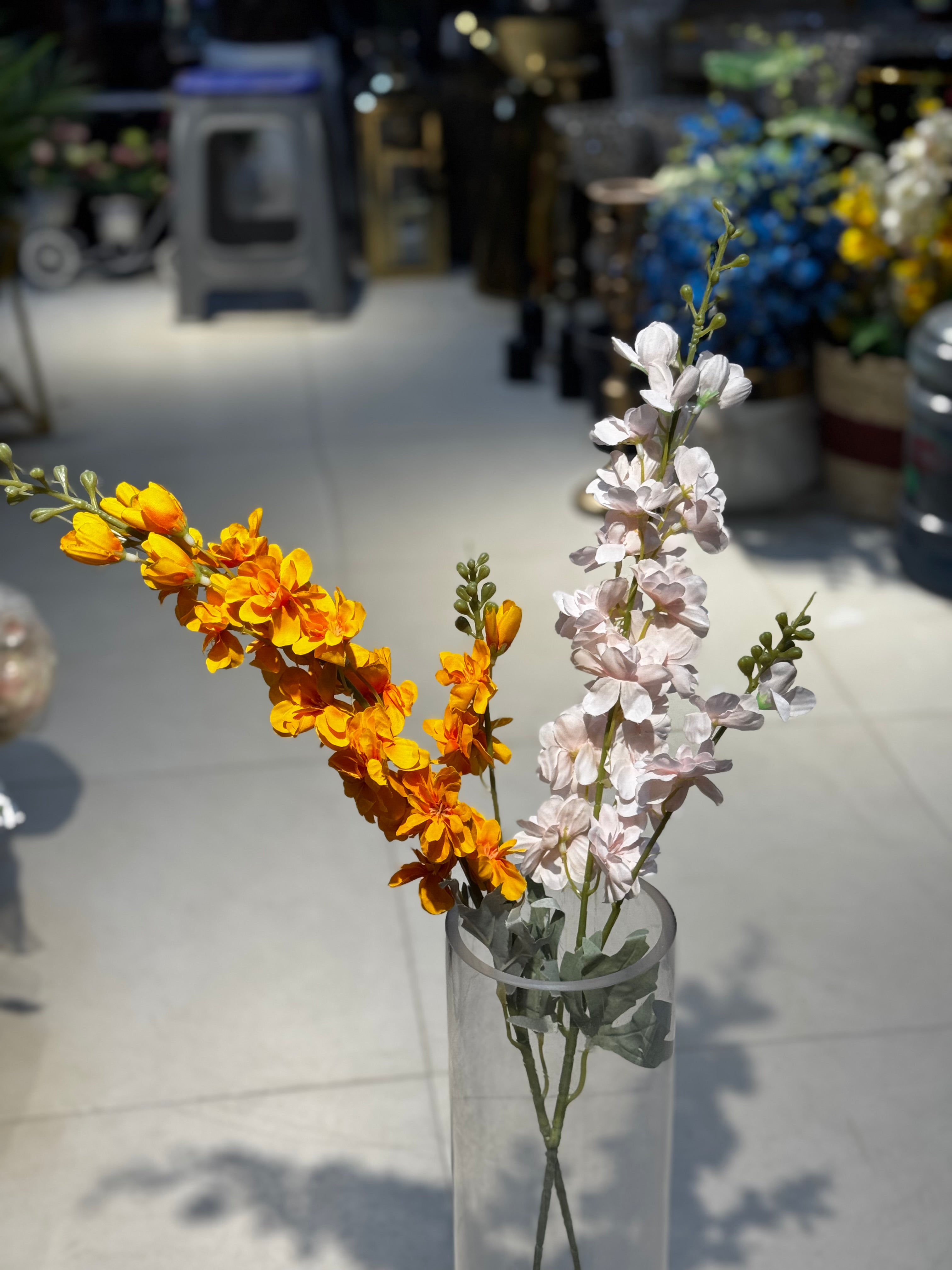 Premium blossoms stems