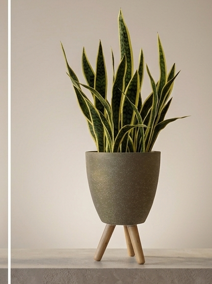 Mid Century Modern Planter Duo