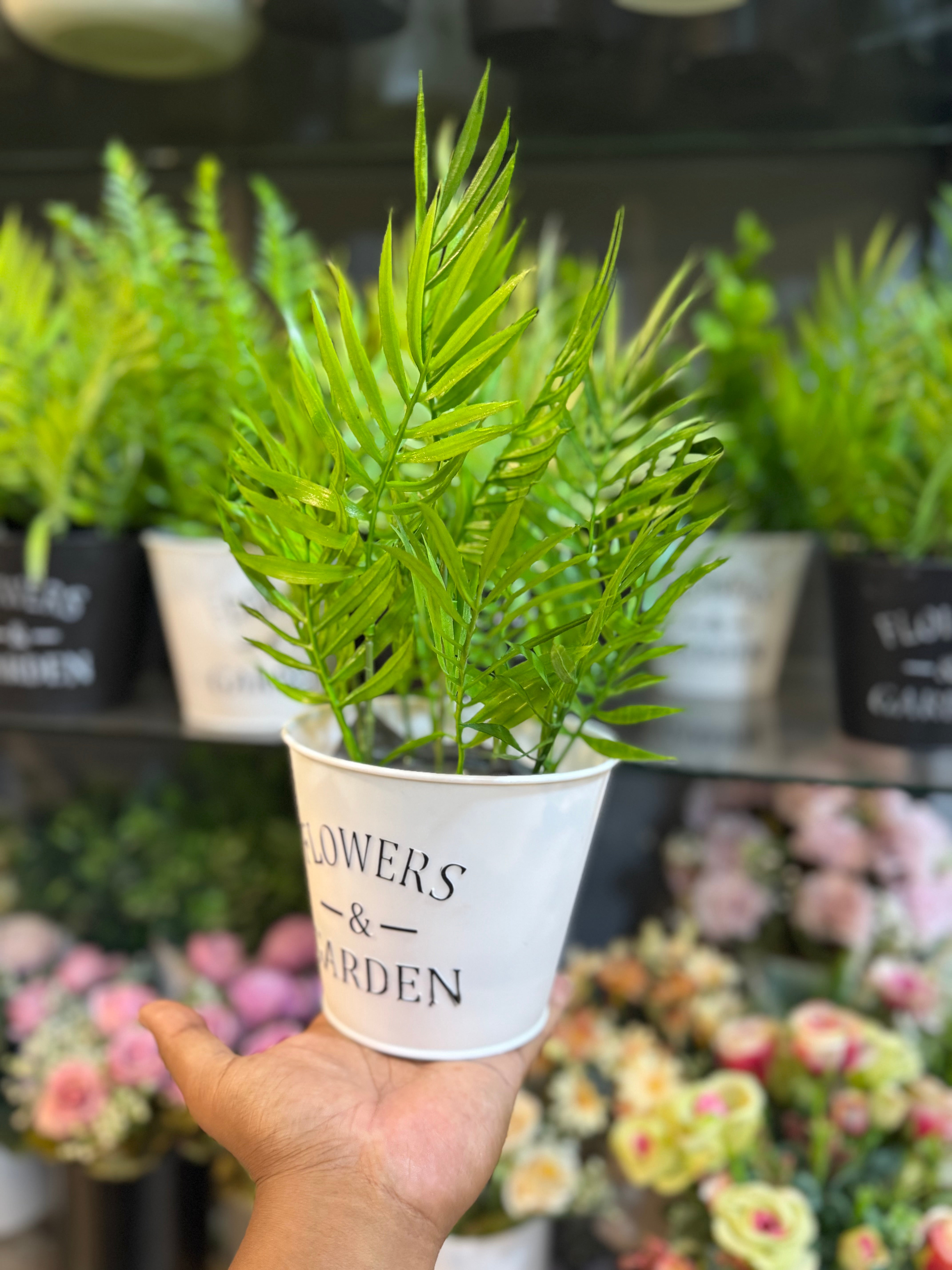 Exclusive Mini Palm pot