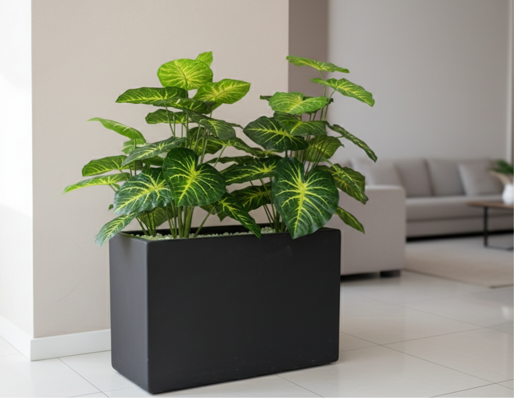 Elephant Ear Plant With horizontal Planter
