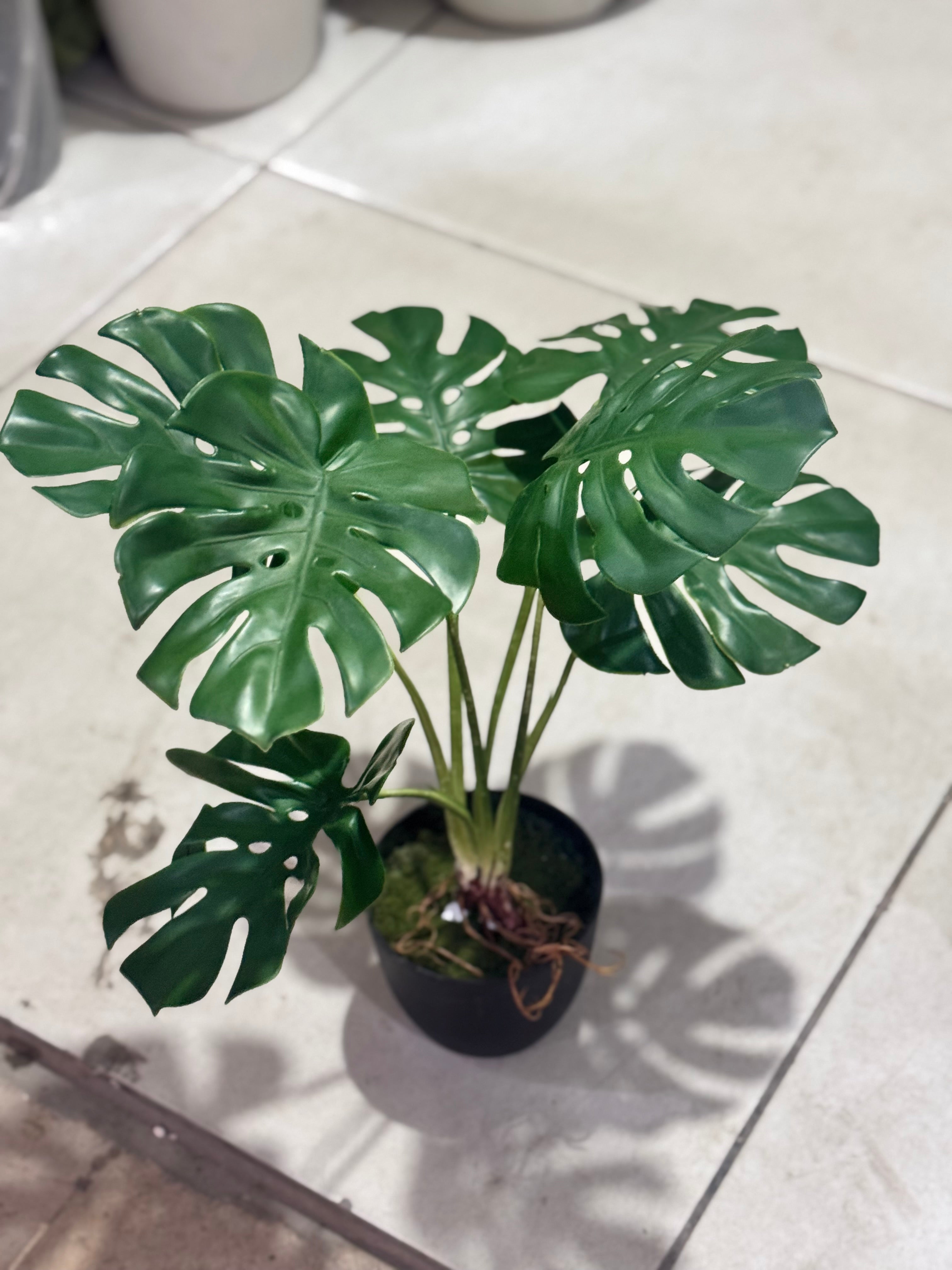 Artificial Mini Monstera Plant — Real Look Green Beauty