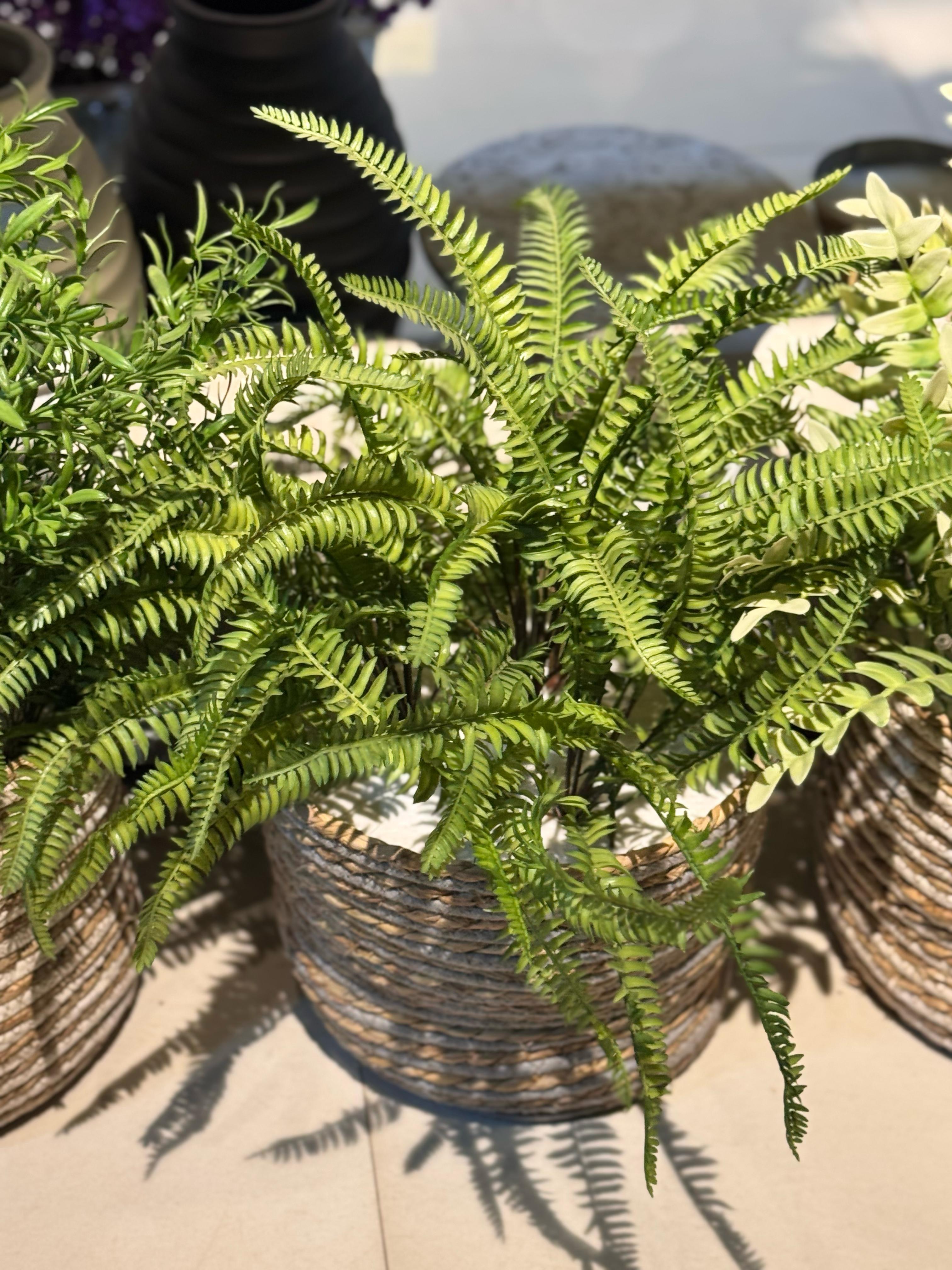 Cane Basket with Fillers