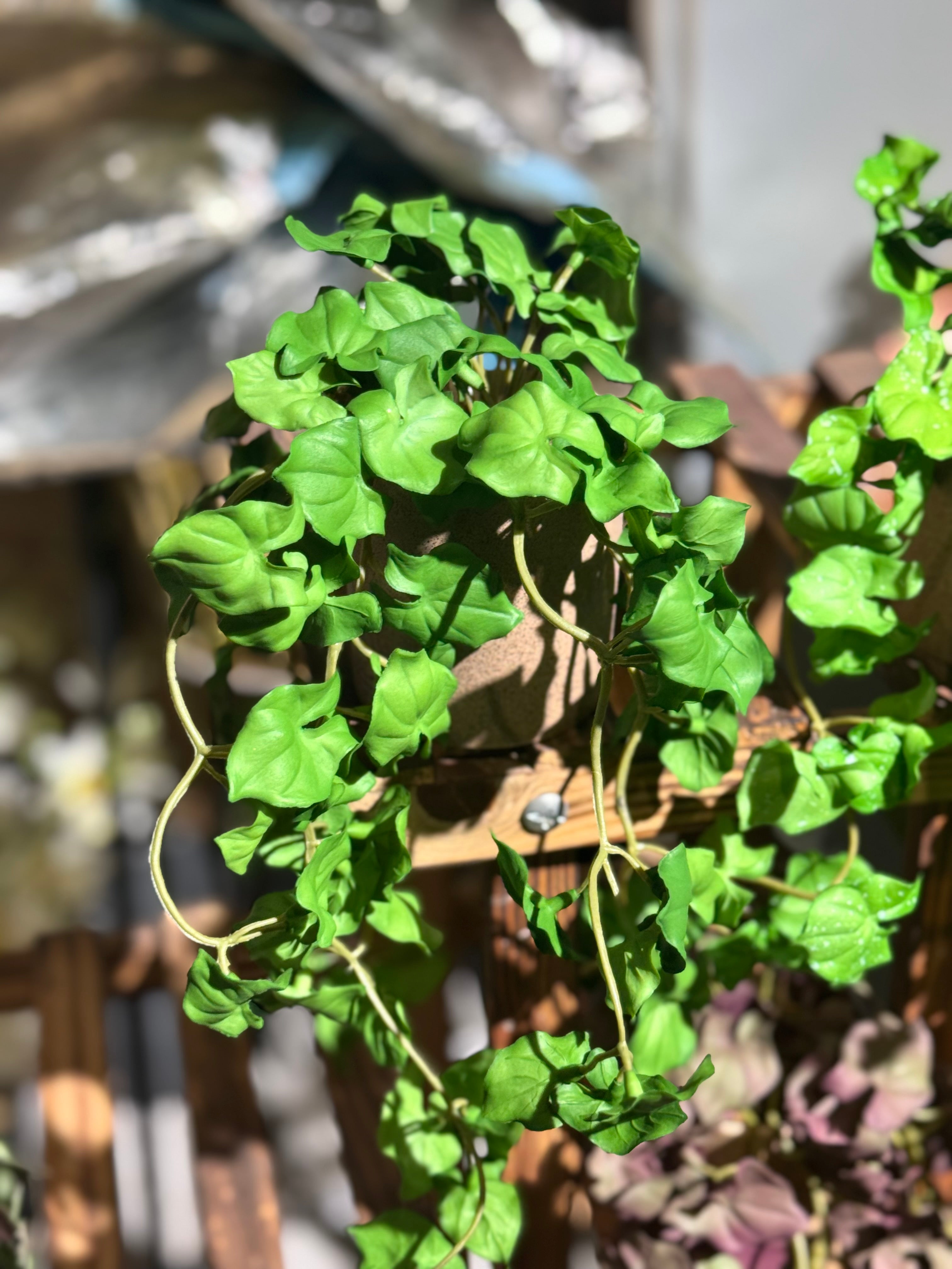 Real Looking hanging plants pot is
