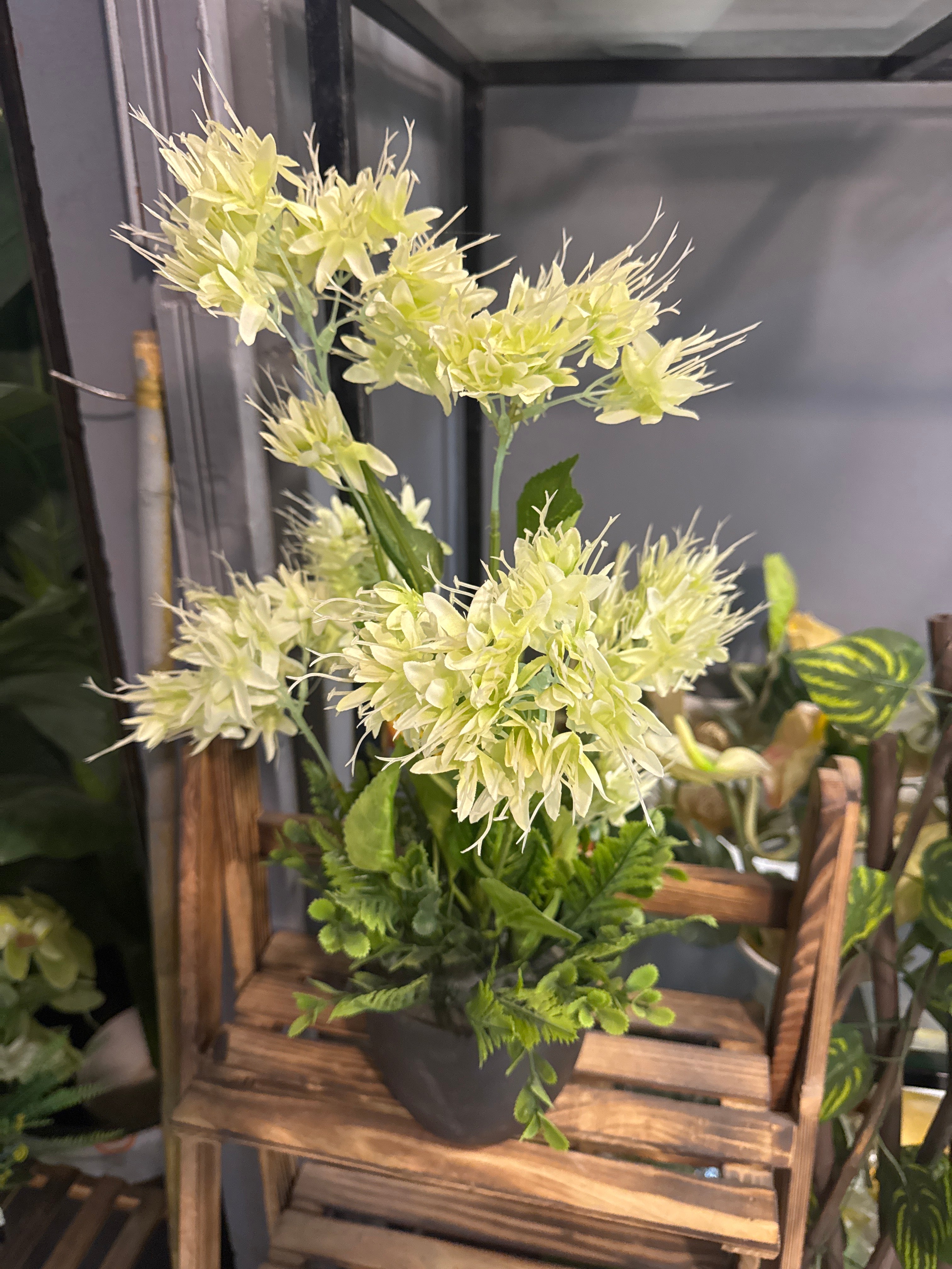 HYDENZIA FLORAL POTS