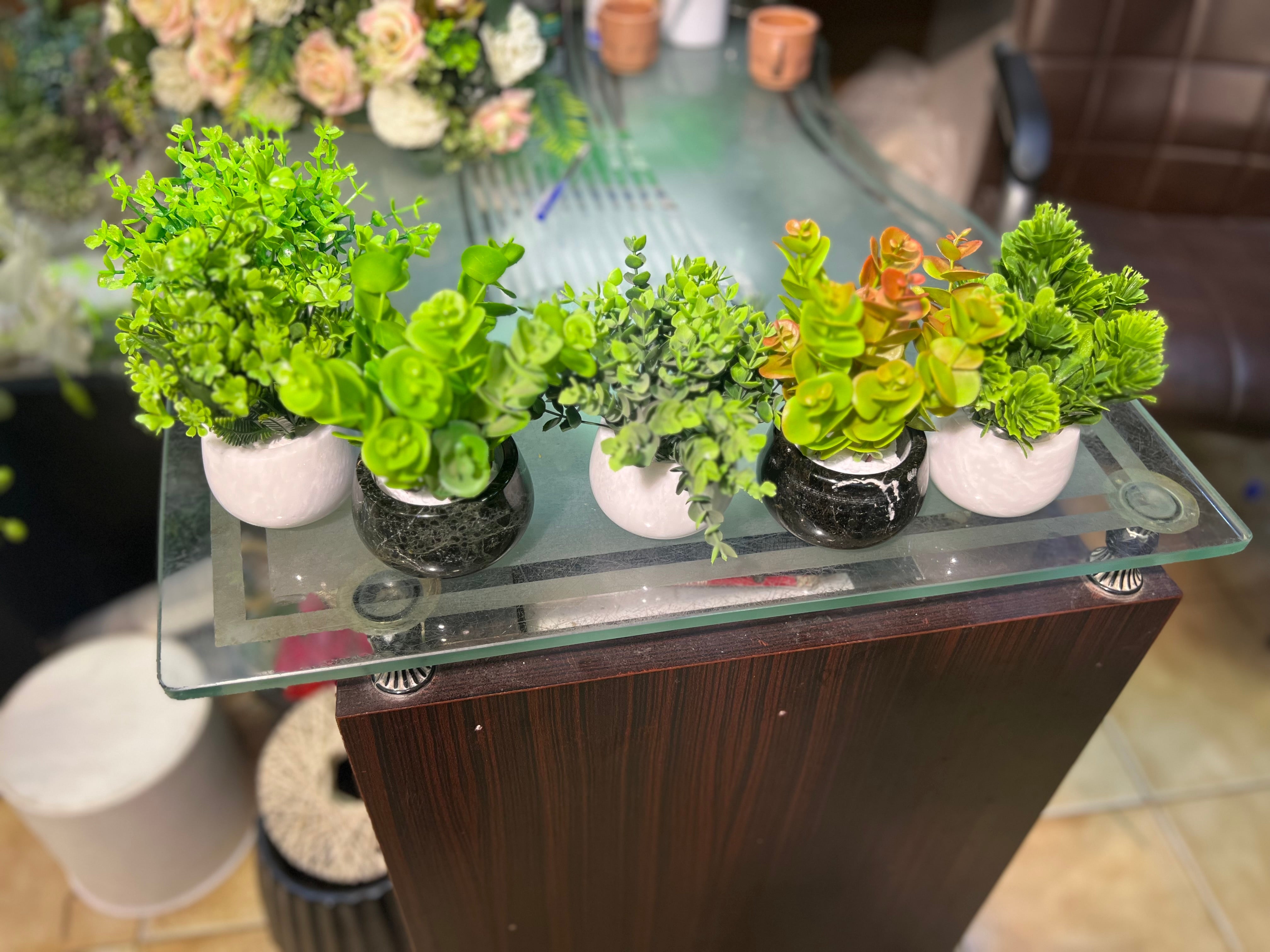 Marble succulents
