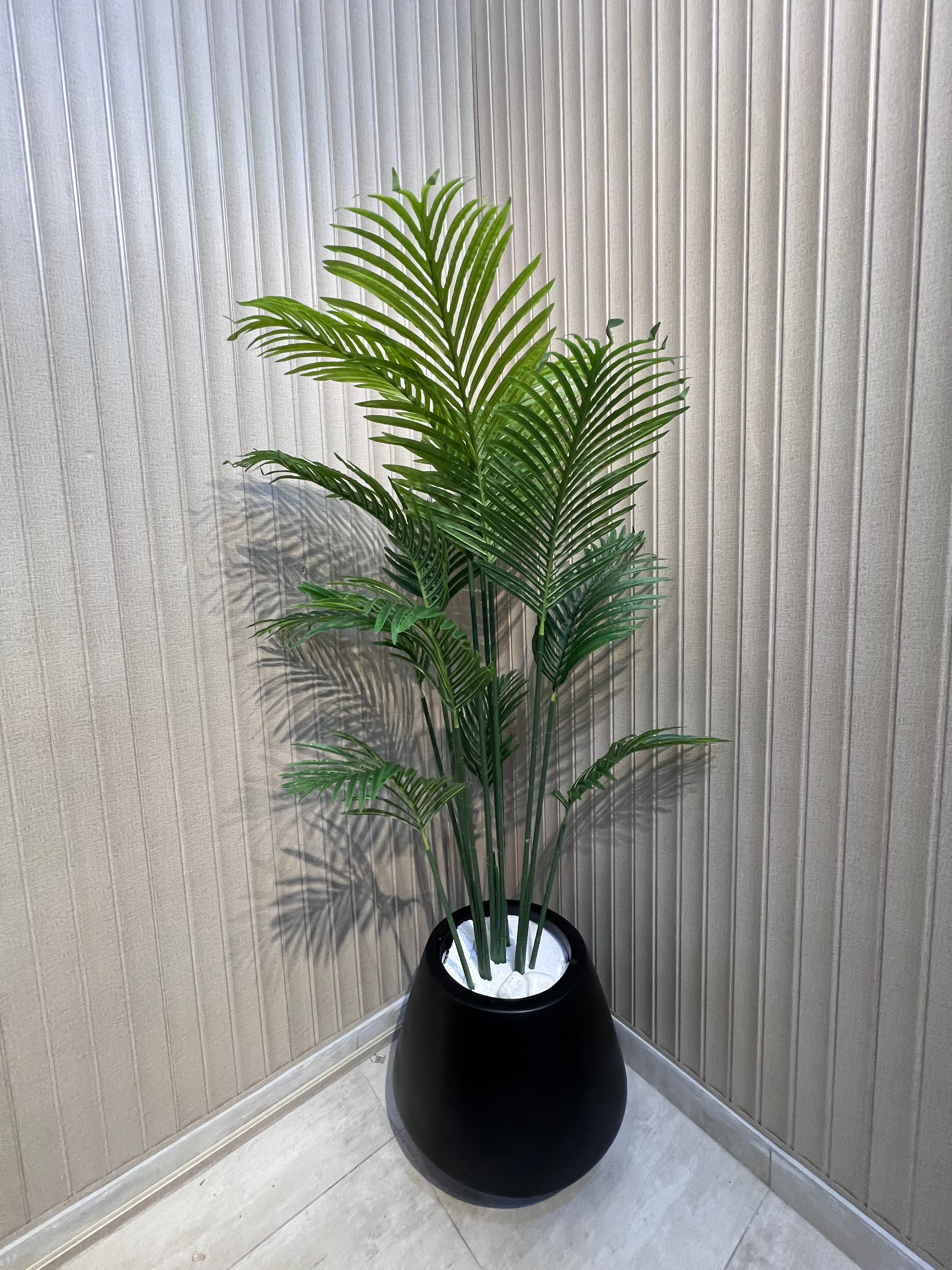 New Areca with trio Planter