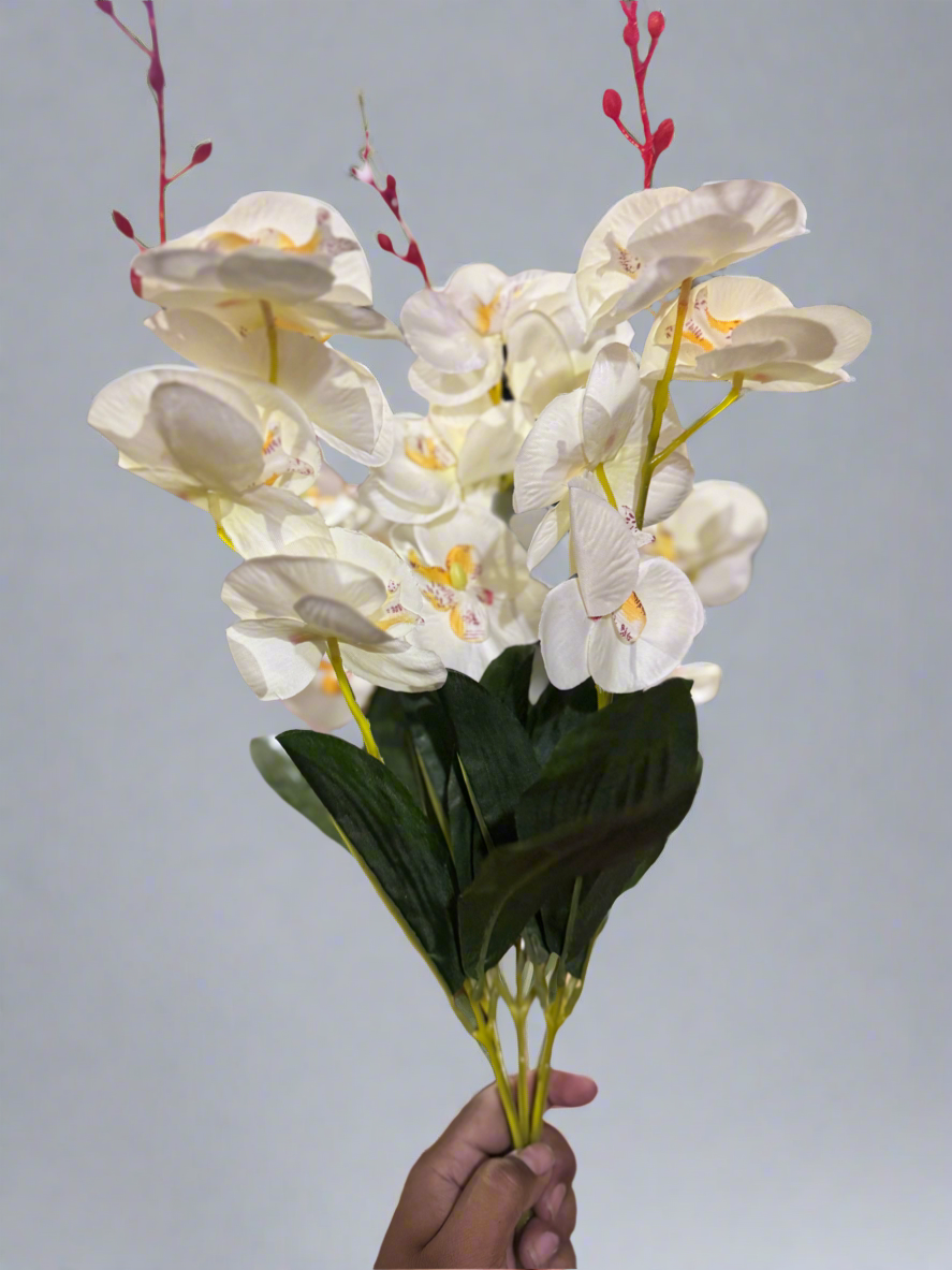 Orchid floral stems