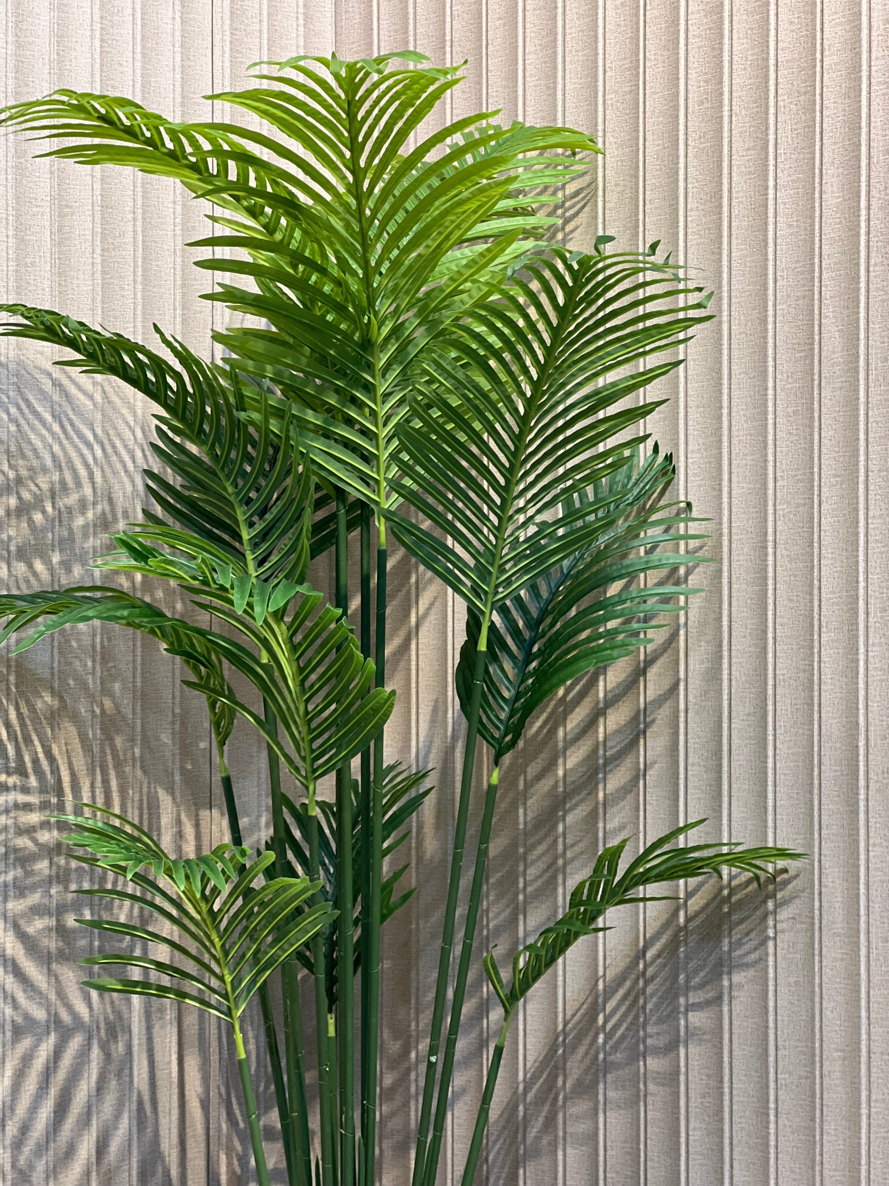 New Areca with trio Planter