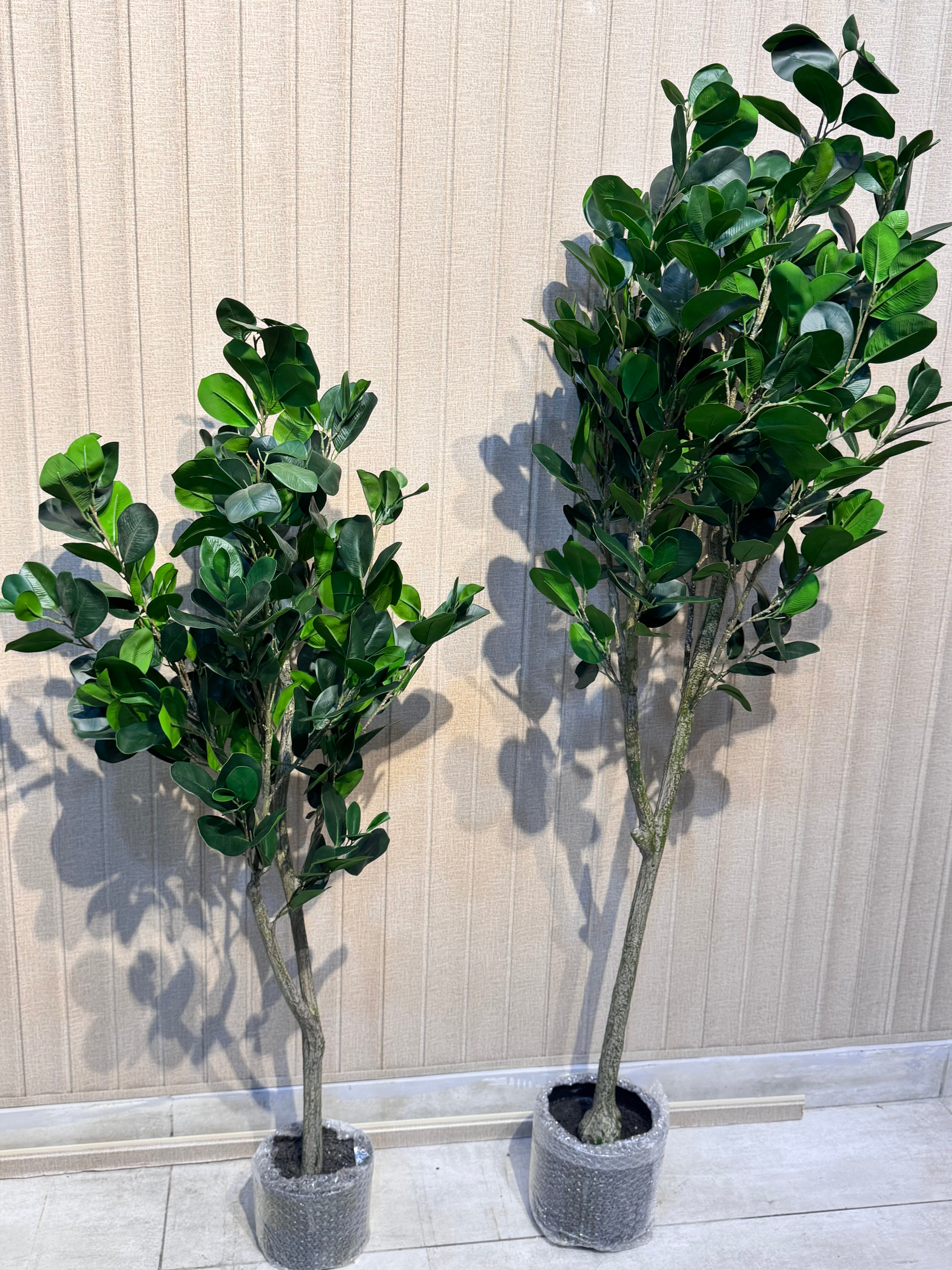 EXCLUSIVE REAL LOOKING PLANTS