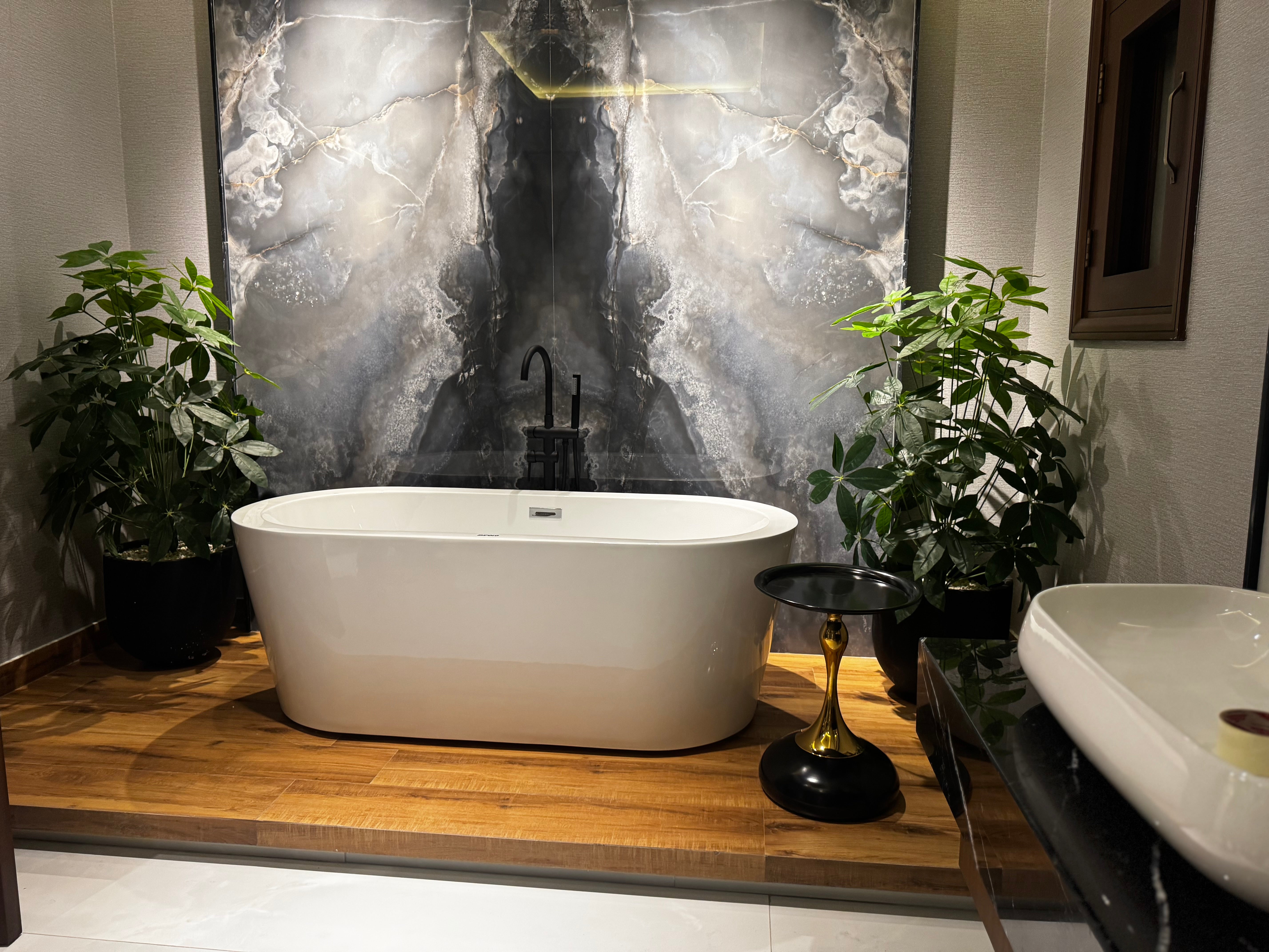 Premium Schefflera plant