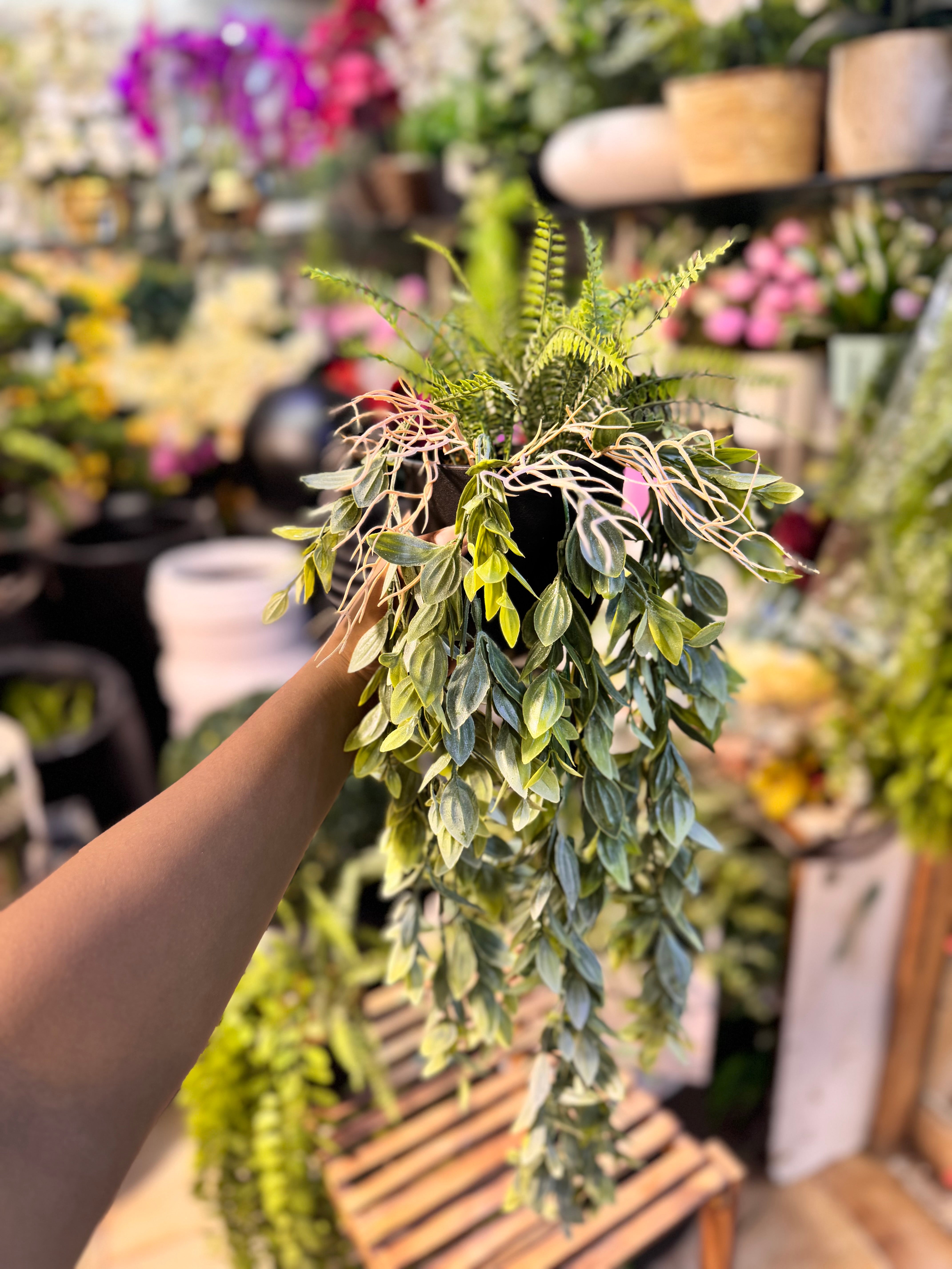 hanging plant arrangement Premium Lush Hanging plants – Fantasia Florist