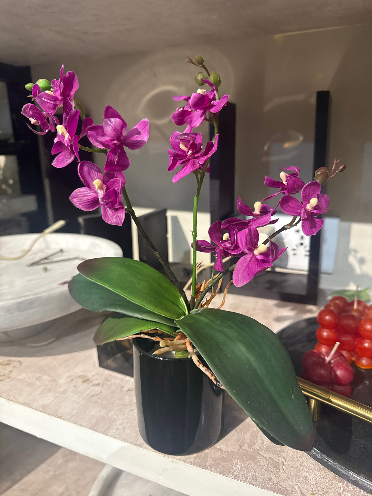 Artificial Phalaenopsis pot