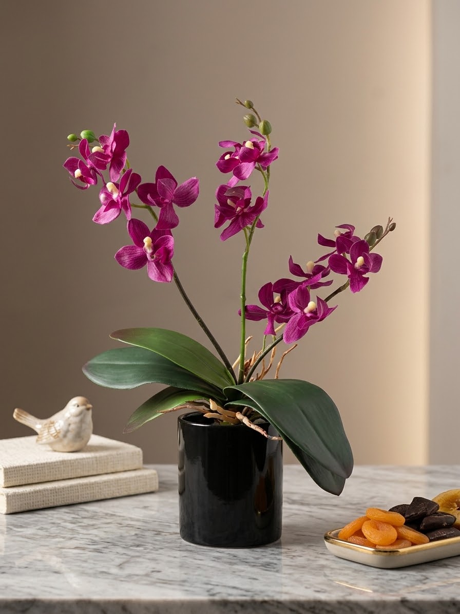 Artificial Phalaenopsis pot