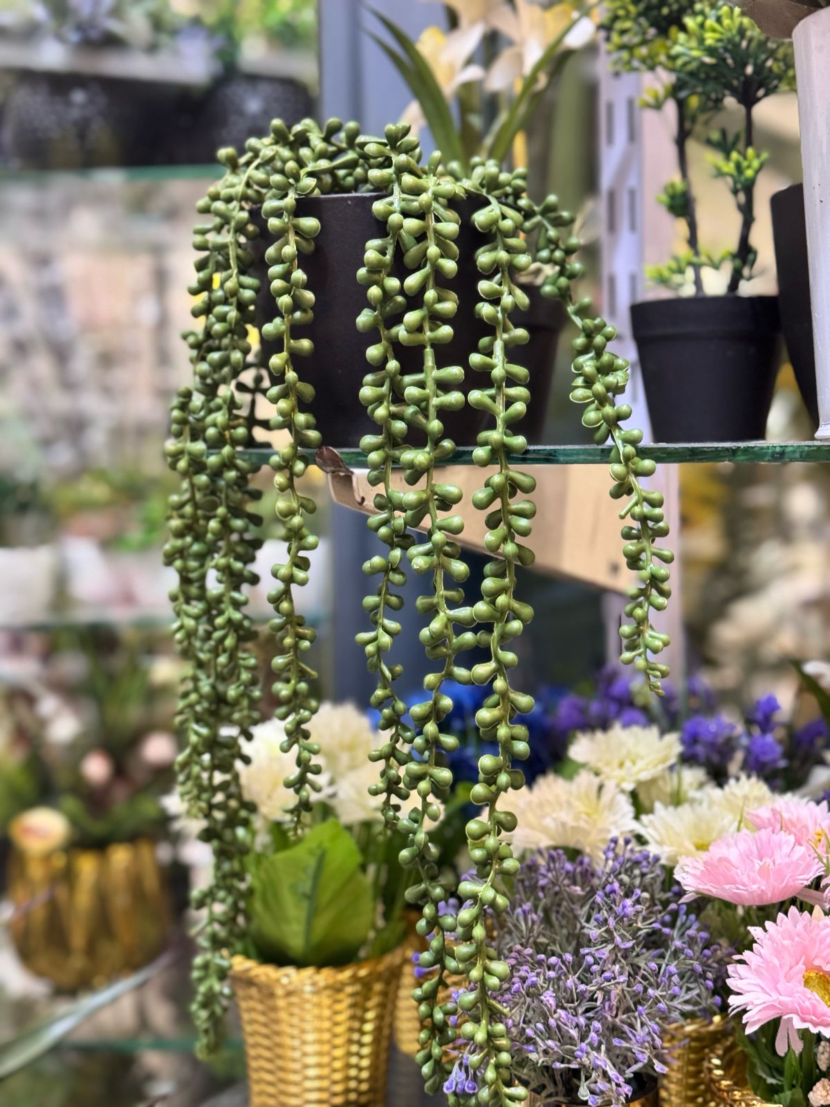 Pearls hanging pot