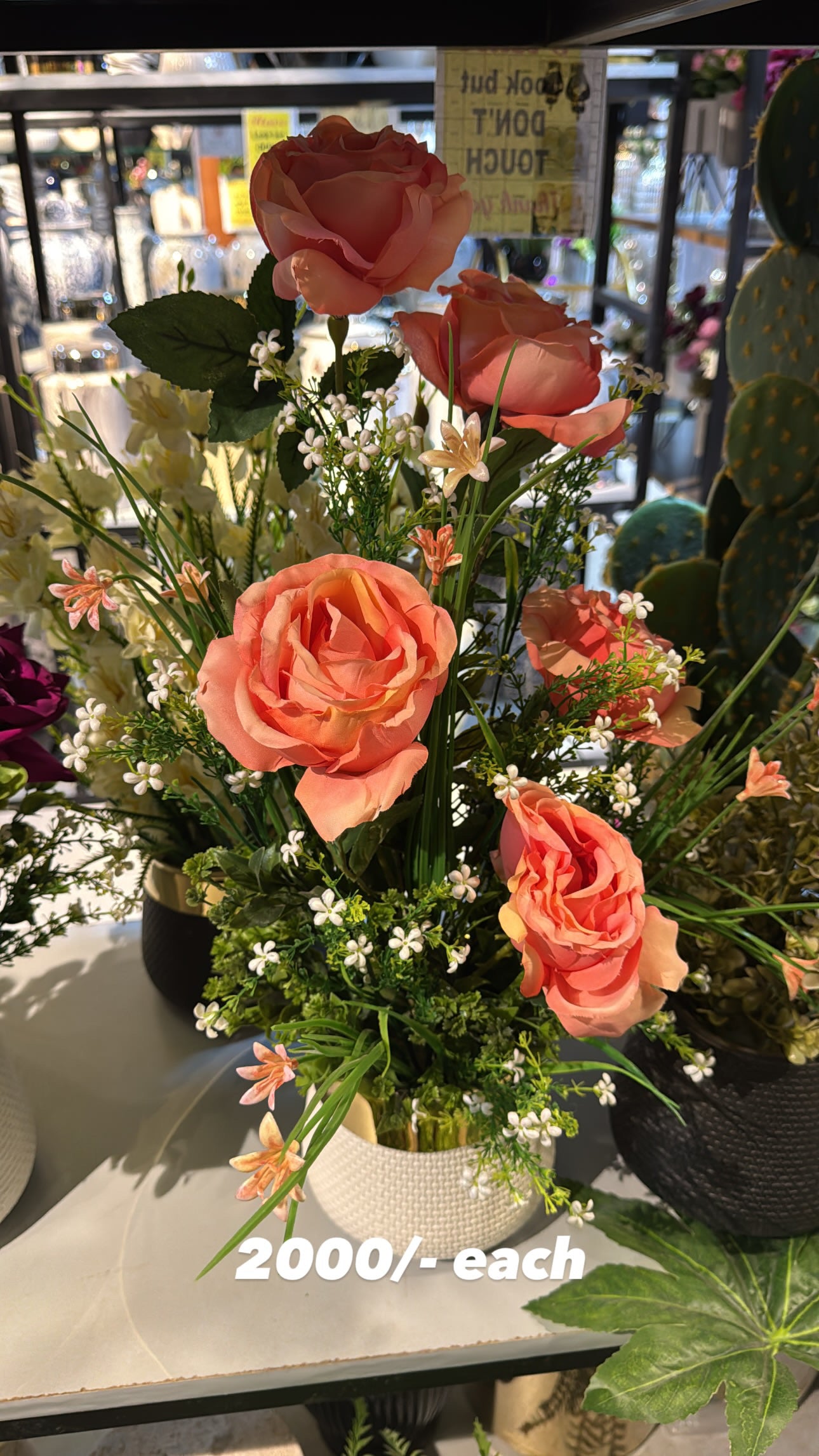 Roses In Small pot
